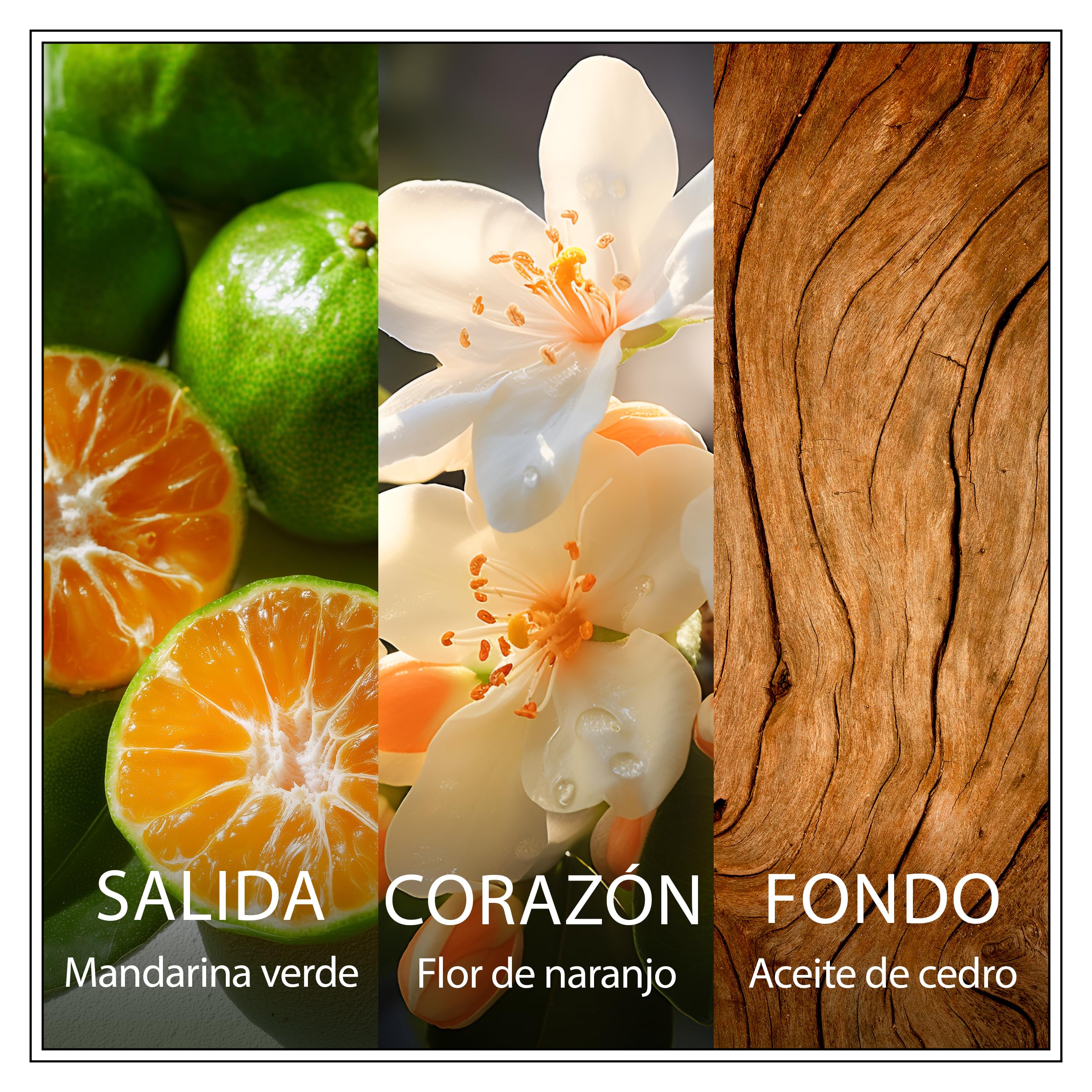 Chanson Les Eaux Du Monde, Bolso + Nerolí Eau de Toilette 100ml + Coconut Bruma Corporal 75ml