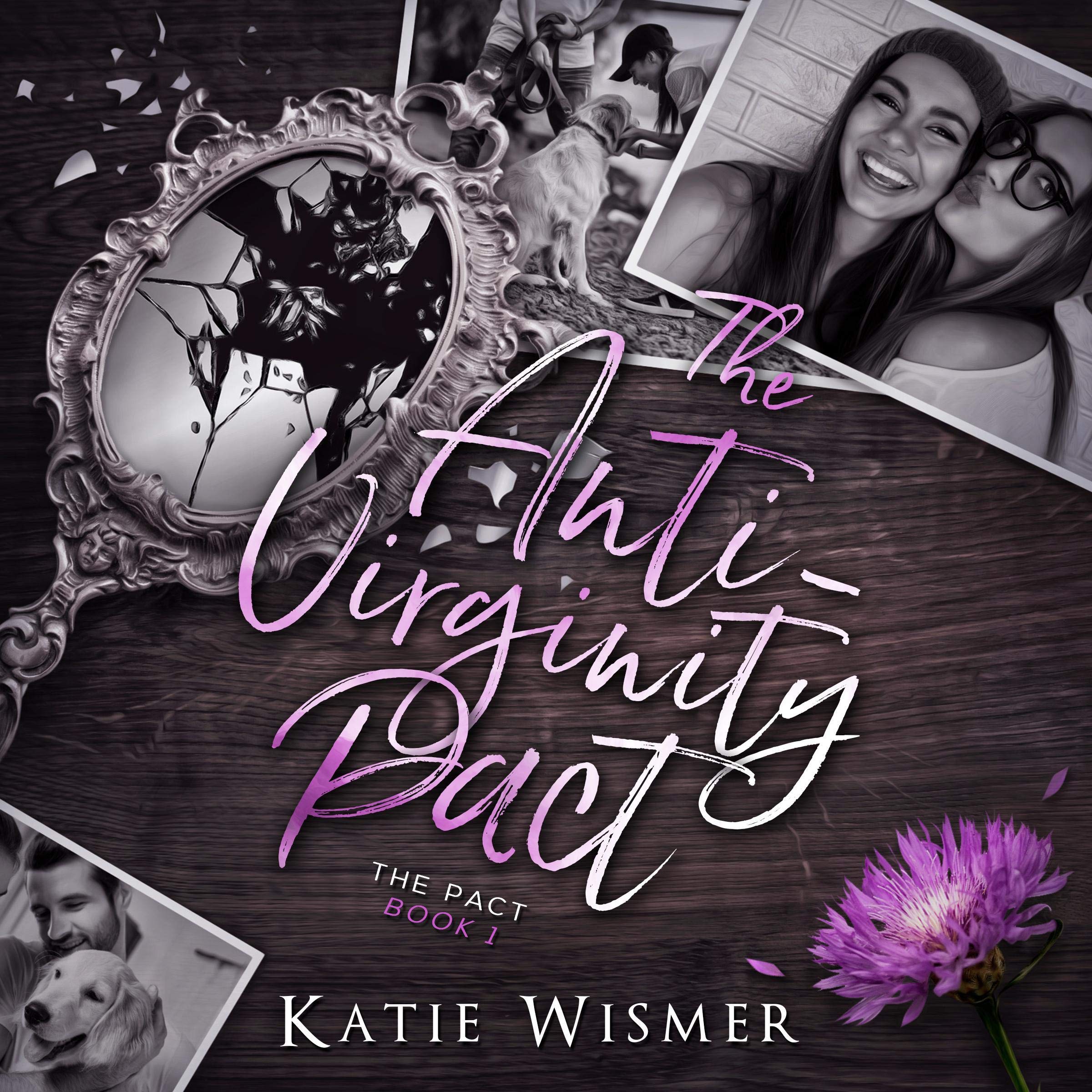 Cover art for The Anti-Virginity Pact