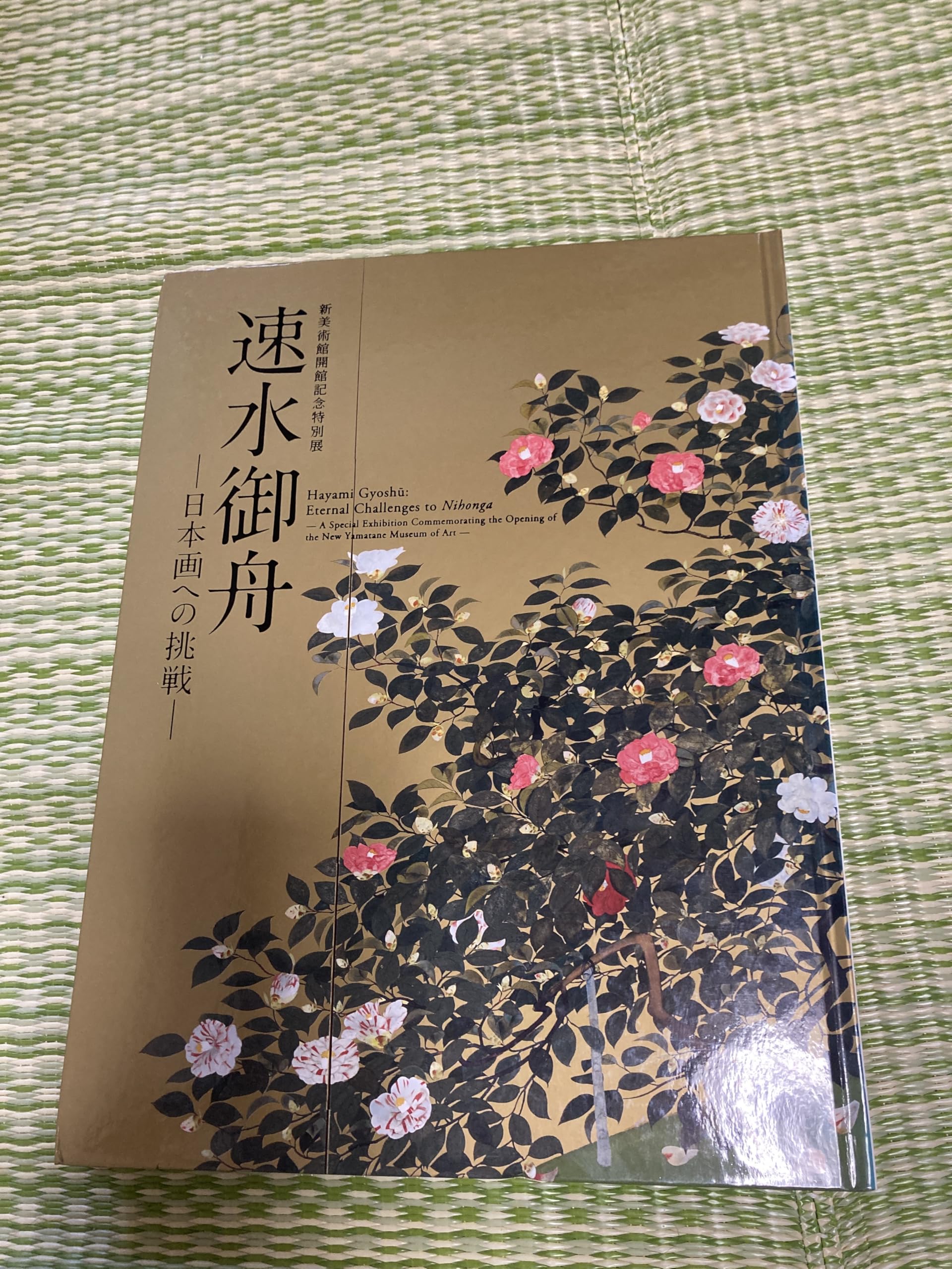 Amazon.co.jp: 速水御舟 : 日本画への挑戦 : 新美術館開館記念特別展 : 本