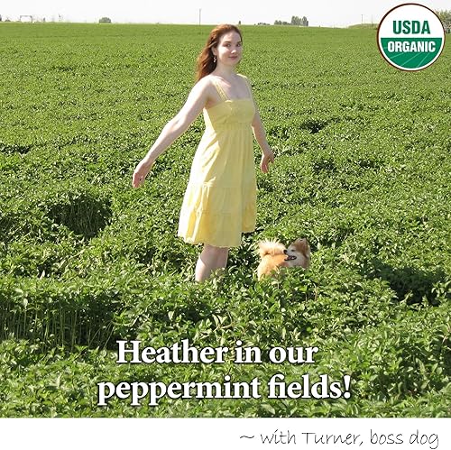 Miniatura 5 de Barriguita del Brezo tamers Aceite de Menta Piperina Cápsulas 90por botella para el SII