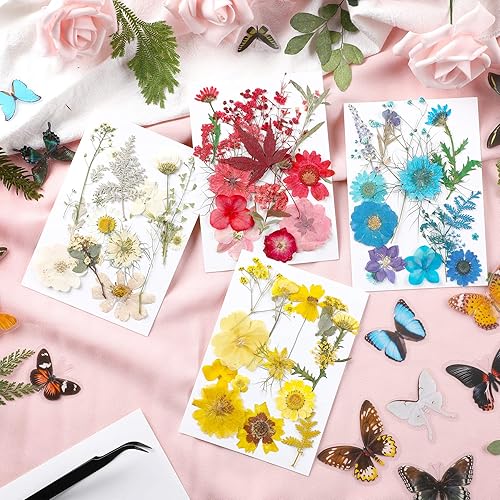 Miniatura 3 de Augshy Juego de flores secas prensadas reales con calcomanías transparentes de mariposa, calcomanías para álbumes de recortes, flores secas