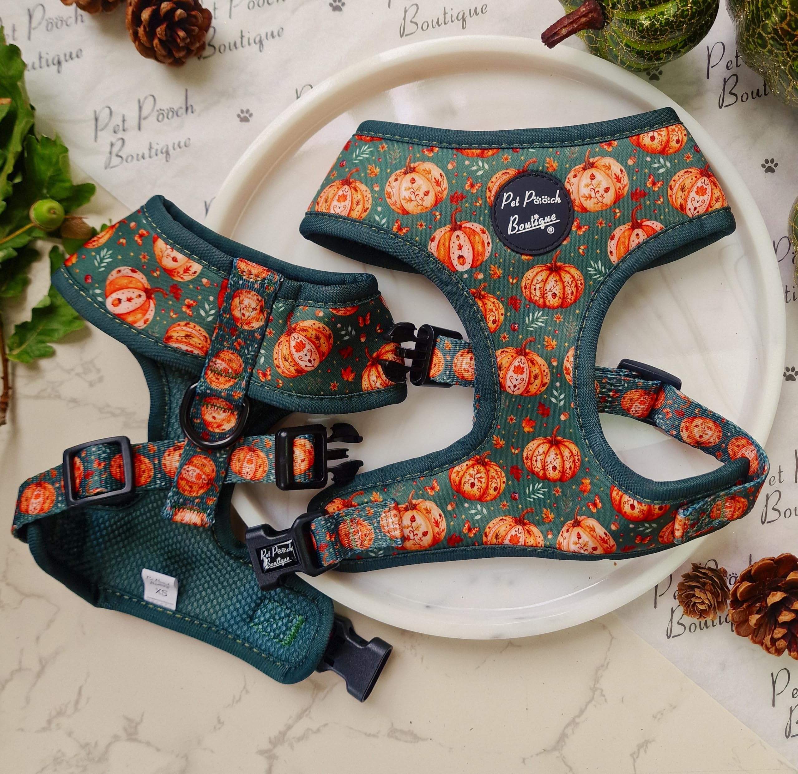 Harvest Pumpkin Patch Pet Pooch Boutique Dog Harness (Ideal for small dogs) (Extra Small)