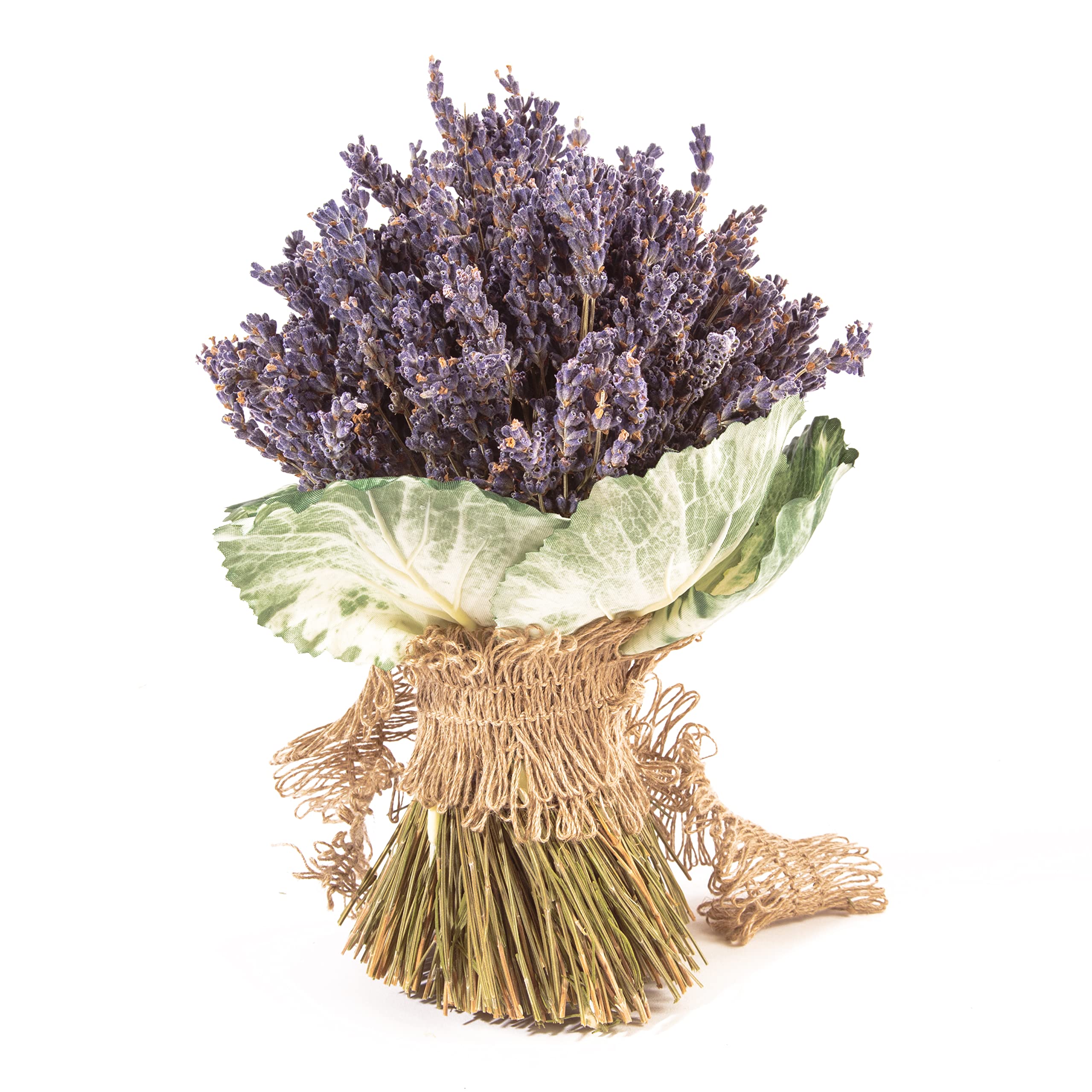 Getrockneter Lavendel aus der Provence Lavendelstrauß mit ca. 600 Stiele Trockenblumen Raumduft Deko Ernte August 2025