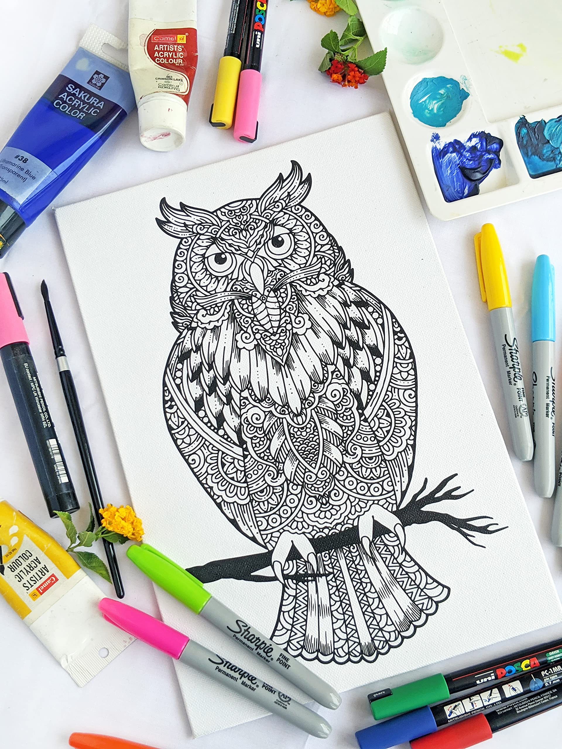 Owl Adult Coloring, Stretched primed canvas to color, Size – 8 x 12 Inches