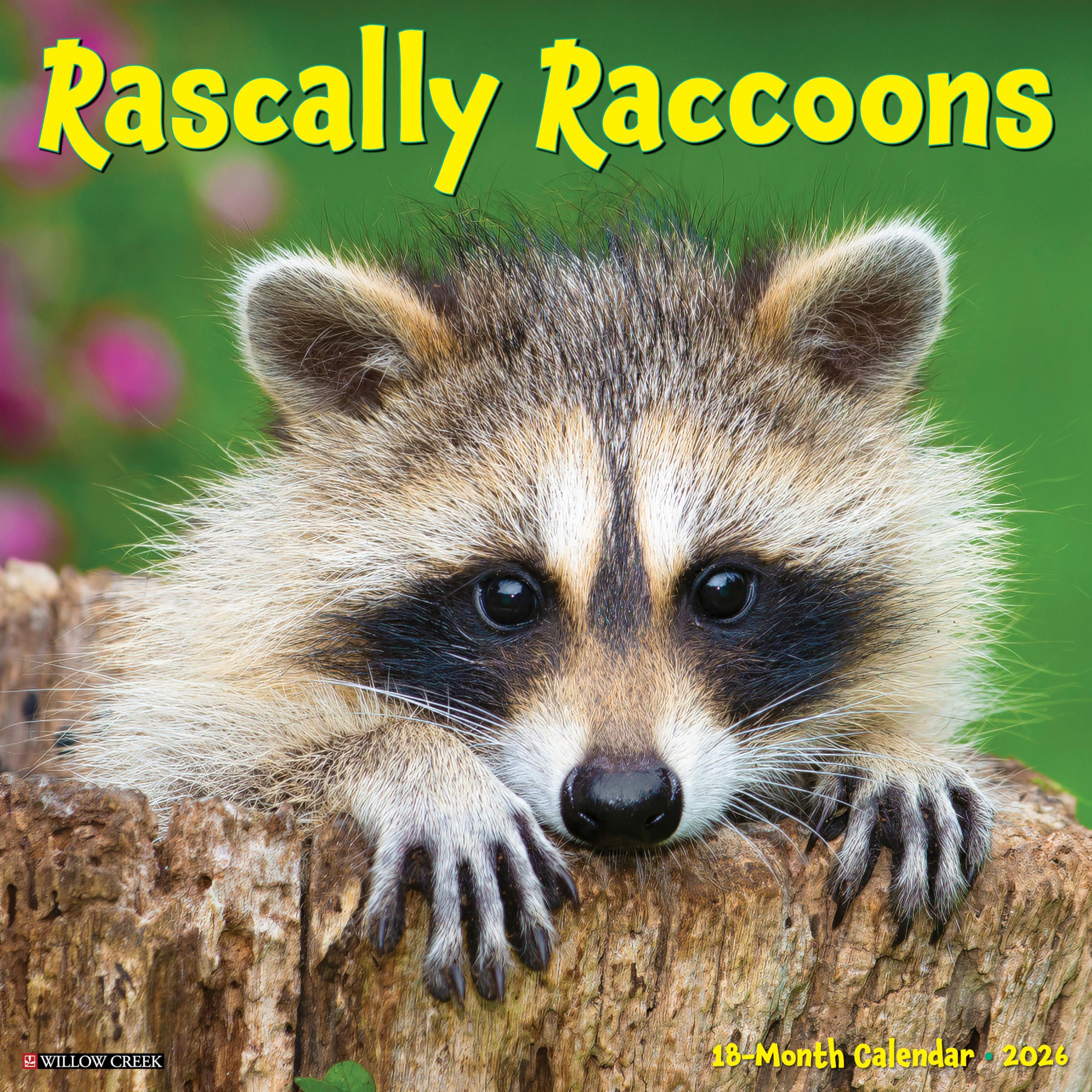 Rascally Raccoons 2026 Wall Calendar