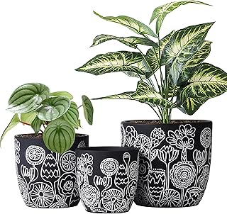 Terracotta Pots, 6.5+5+4.4 Inch Plant Pots with Drainage Hole- Floral Pa...
