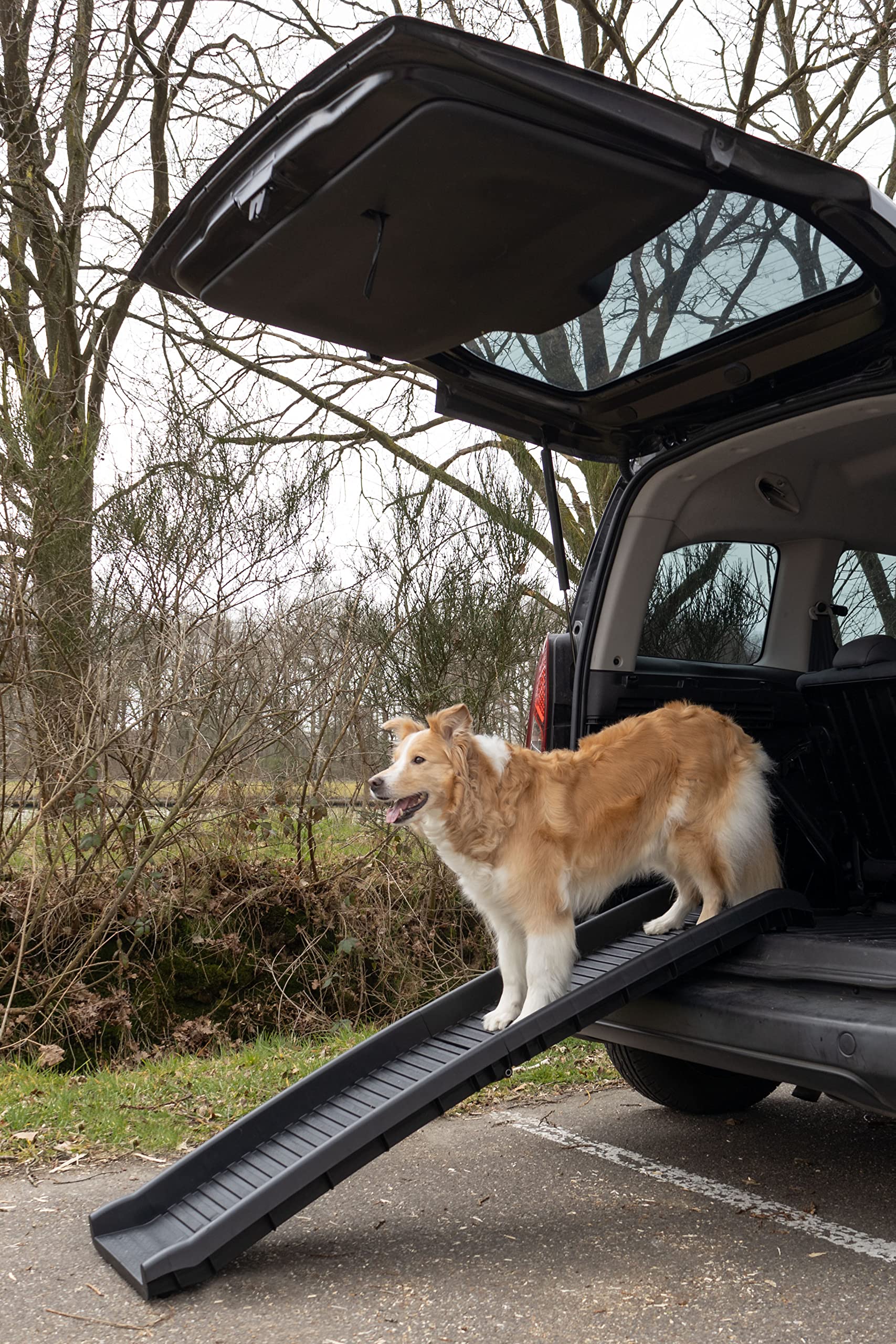 Rampe de Chien Escalier pour Chien - Voiture Automobile - 156 x 40 x 15 cm - Pliable et antidérapant - qualité superieur