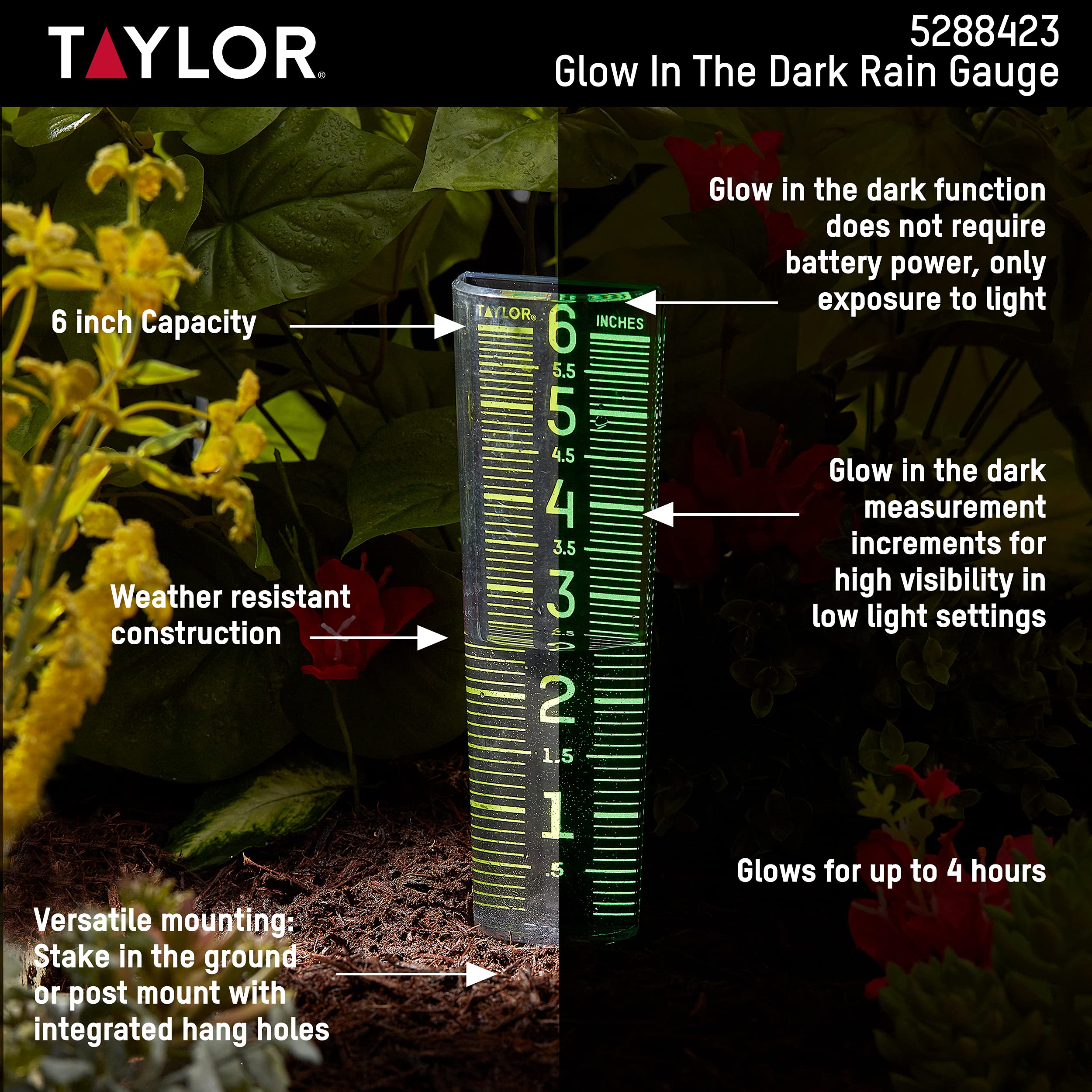 Taylor Precision Products 5288423 Medidor de Lluvia Que Brilla en la Oscuridad, Negro y Verde