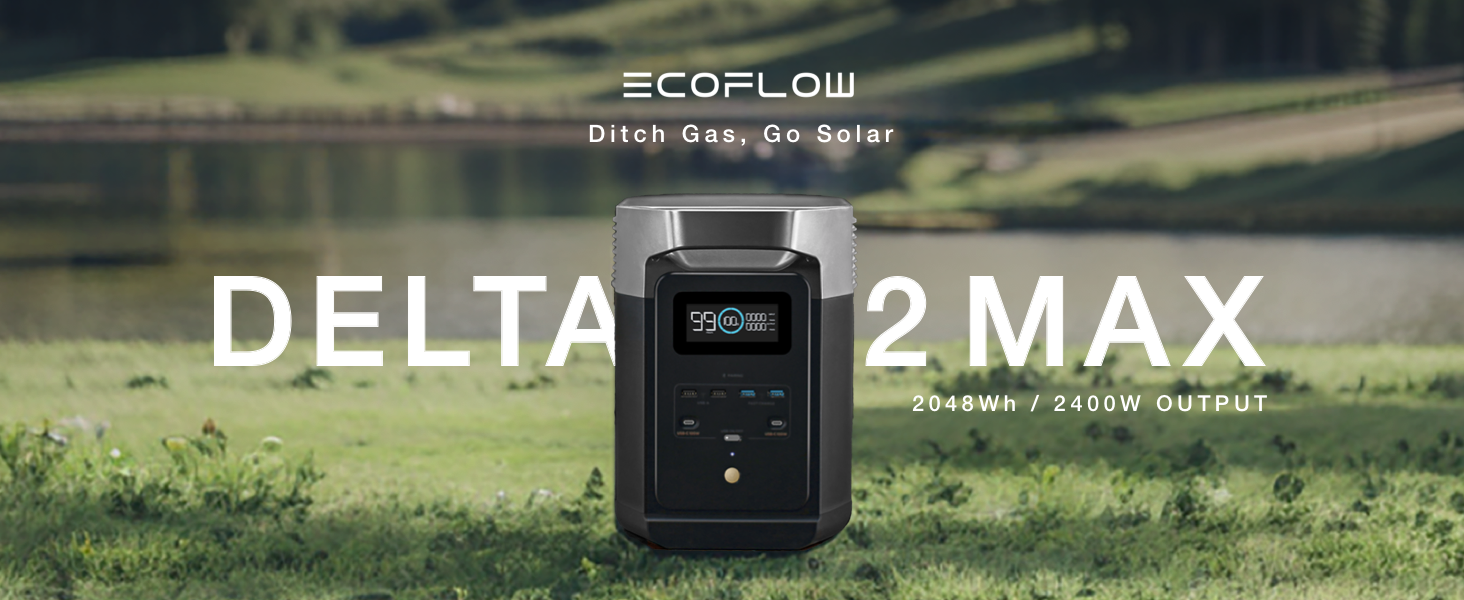 Amazon.com : EF ECOFLOW DELTA 2 Max Power Station Extra Battery
