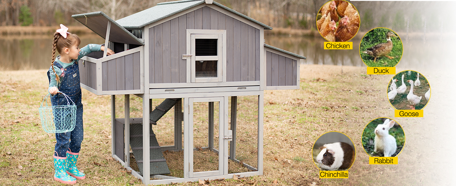 Amazon.com: Aivituvin Chicken Coop Double Folding Fir Wood Chicken