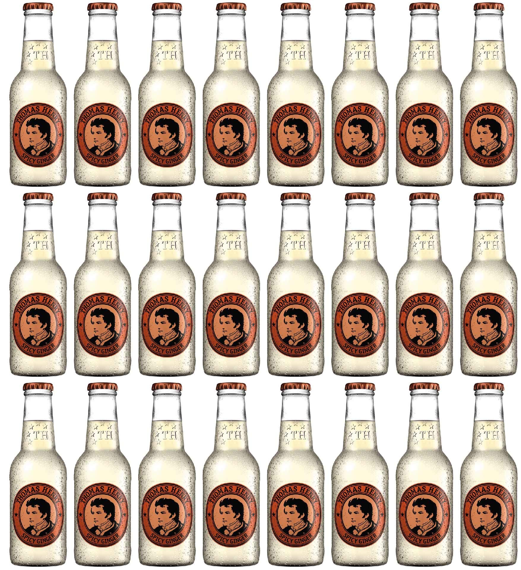 Thomas Henry Spicy Ginger 24 x 0,2 Liter