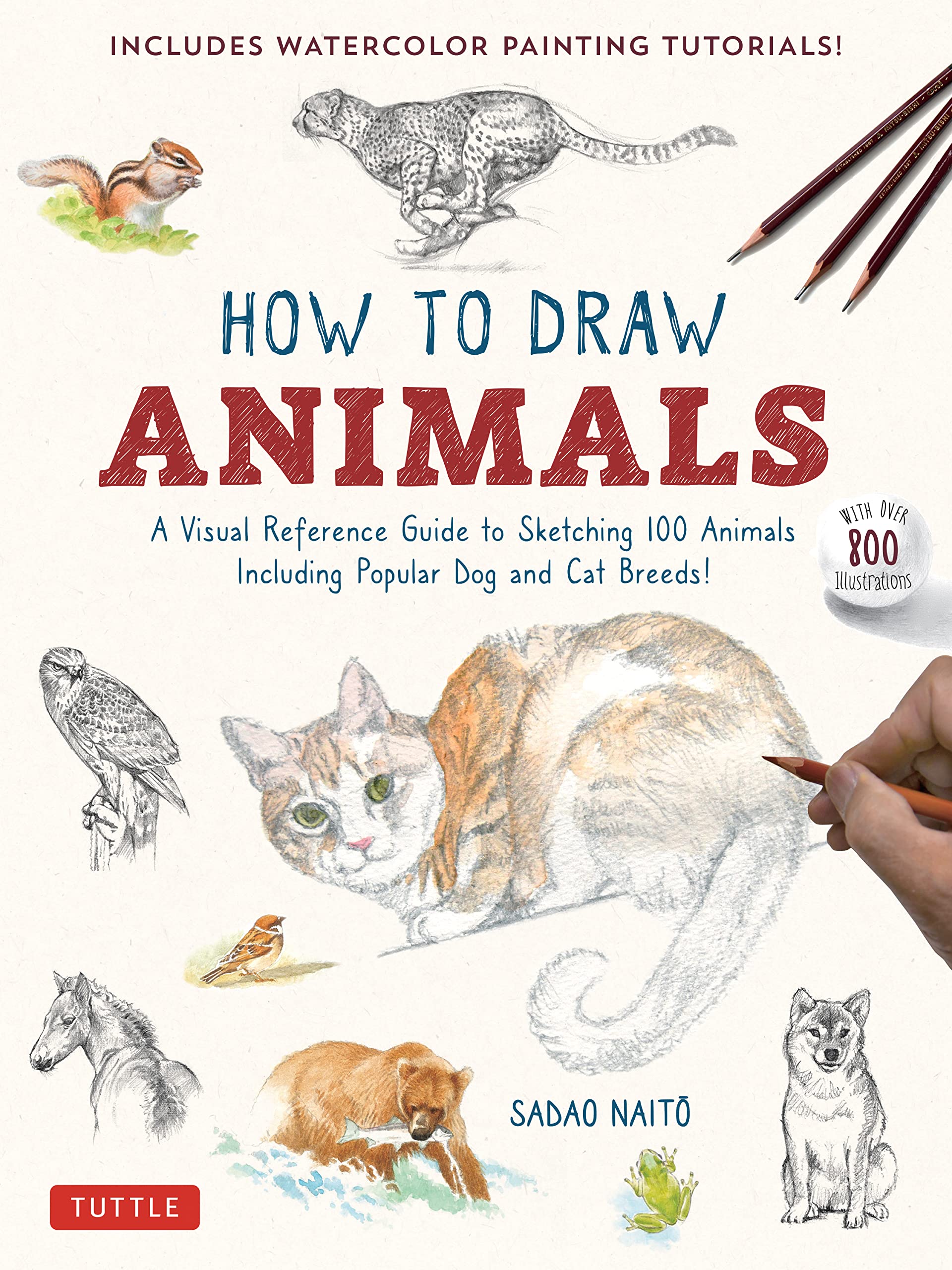Dessin d'animaux guide visuel de 100 modèles avec 800 illustrations