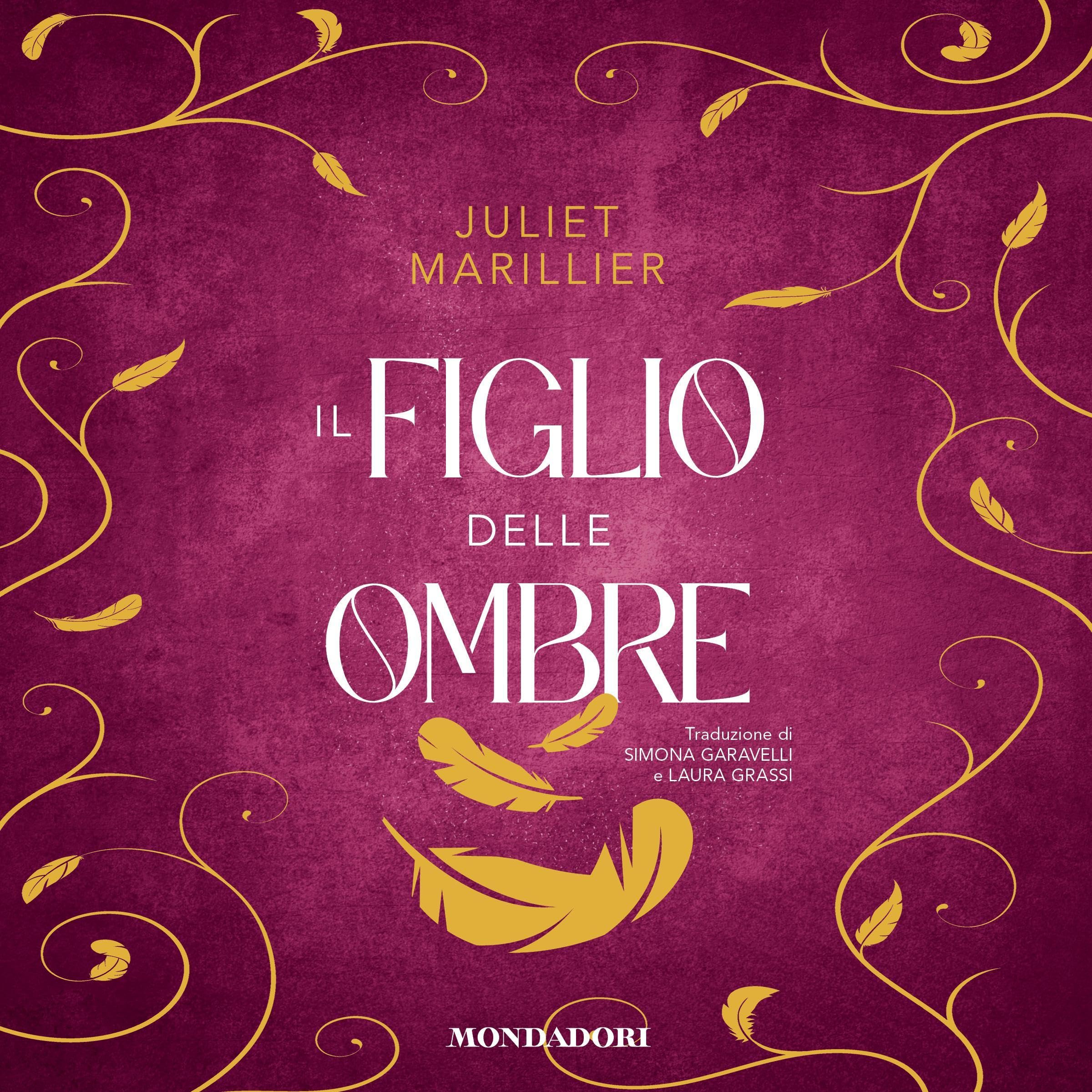 Cover art for Il figlio delle ombre