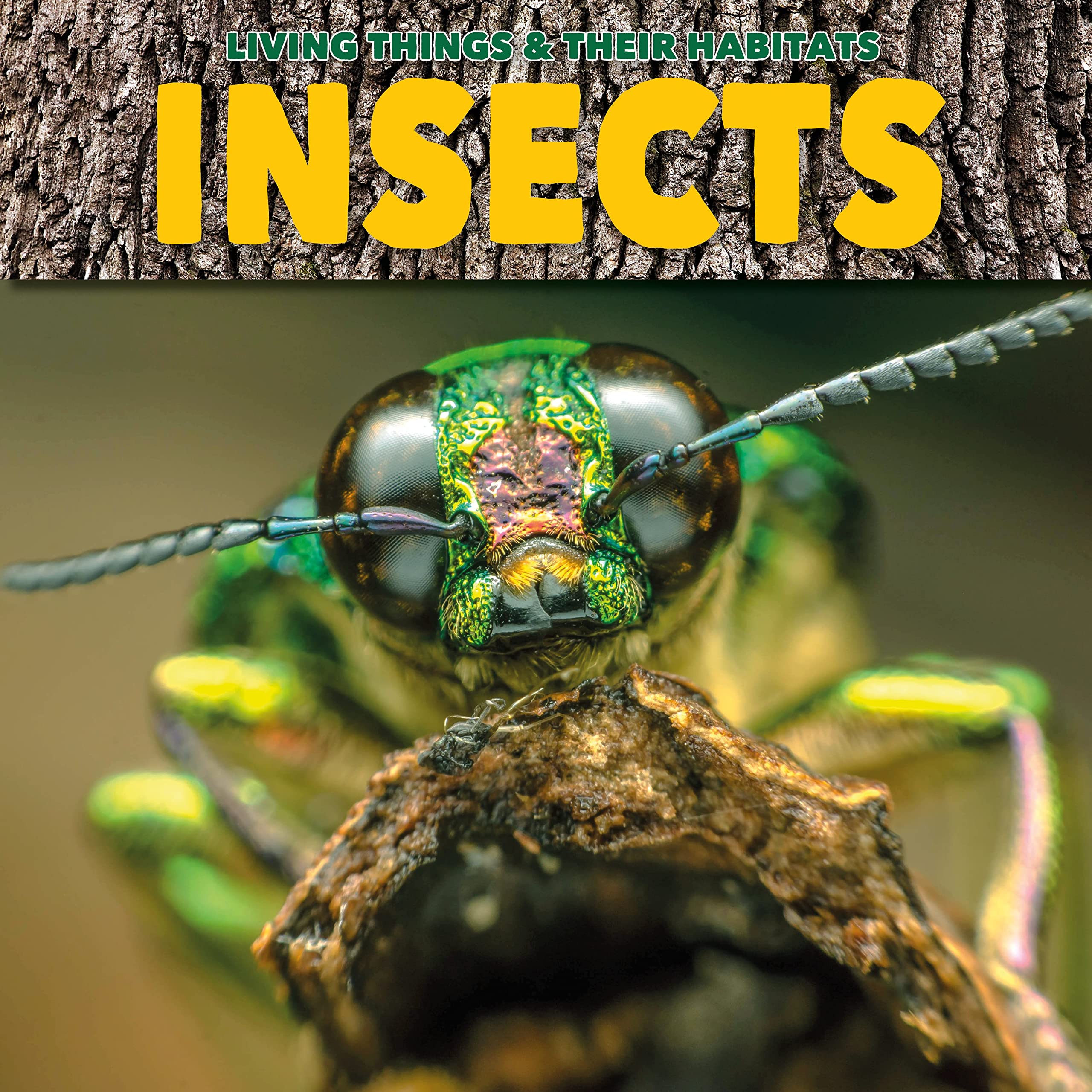 Insects by Grace Jones (Paperback Book)