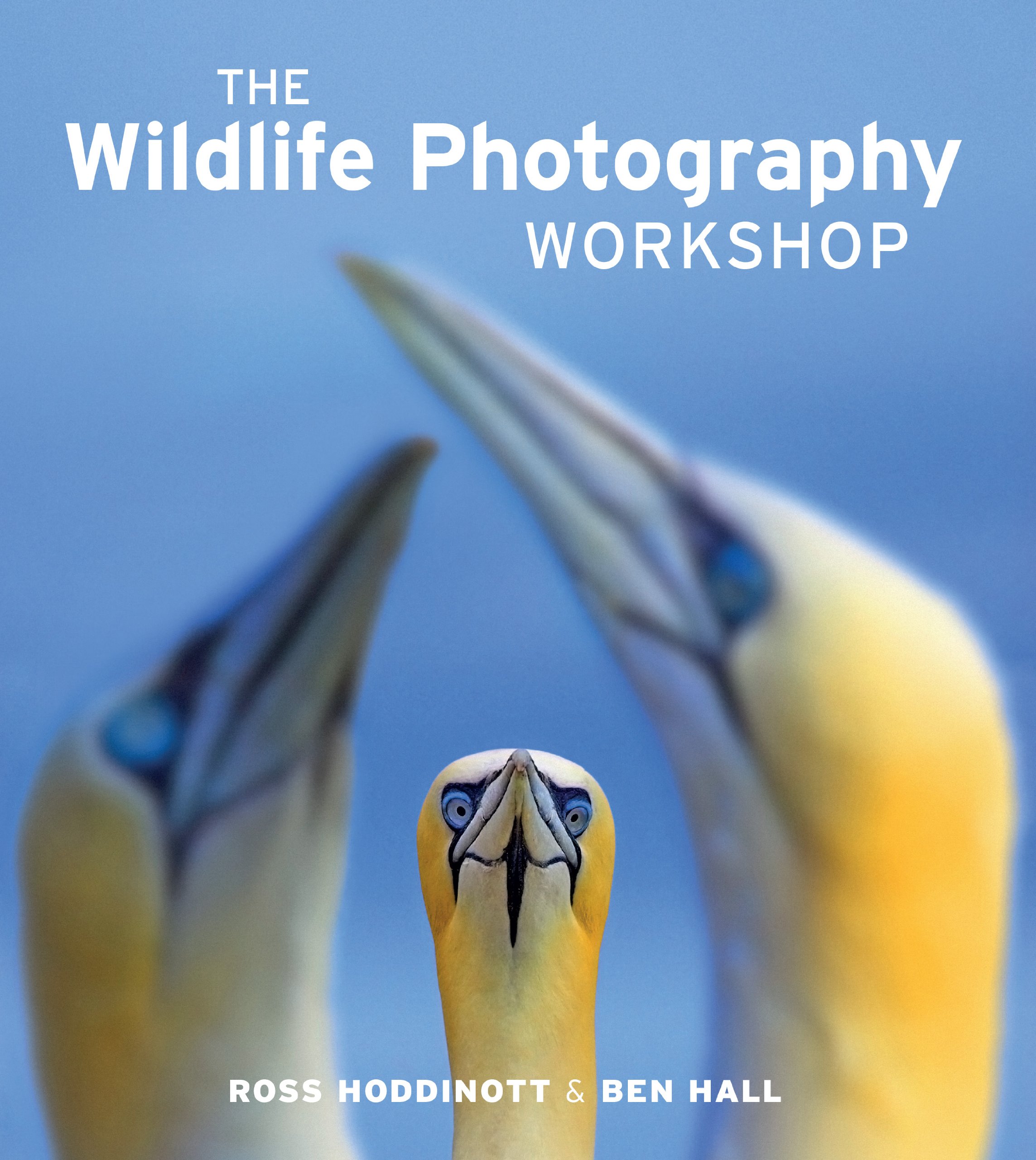 The Wildlife Photography Workshop livre de photographie animalière pour vos escapades en forêt