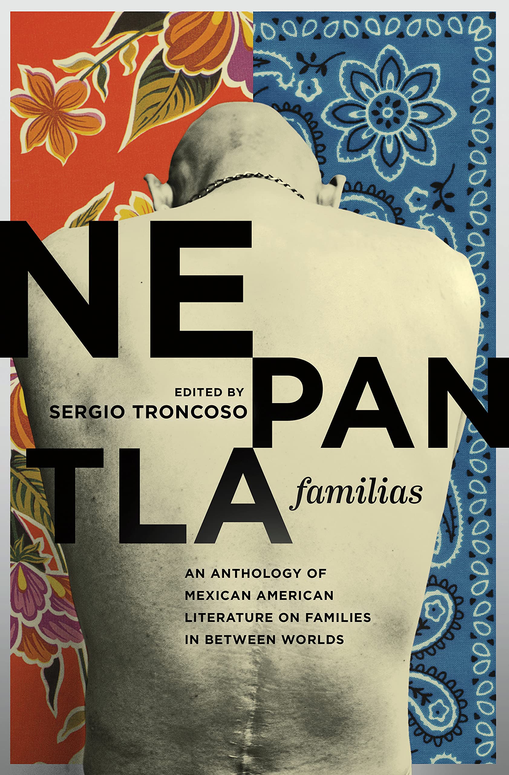 Nepantla Familias: An Anthology of Mexican American Literature on Families in between Worlds (Wittliff Collections Literary Series)