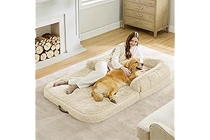 Bedsure Dog Sofa: Comfy and Convenient Haven for Pets and Owners