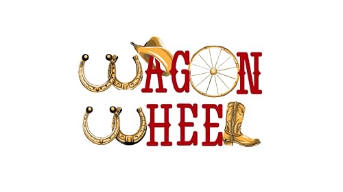 Wagon Wheel Nite Club CSC TV – vue 5