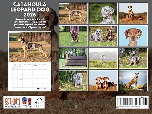 Vista 418 de Calendario Goldendoodle 2026 Golden Doodle mensual de pared calendario de 12 meses Fabricado en Estados Unidos