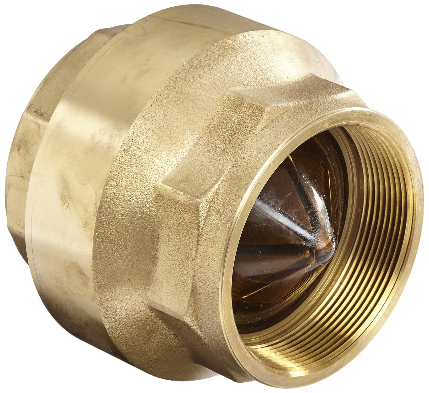 Dixon CV200 Brass Spring-Loaded Check Valve, 2" NPT Female