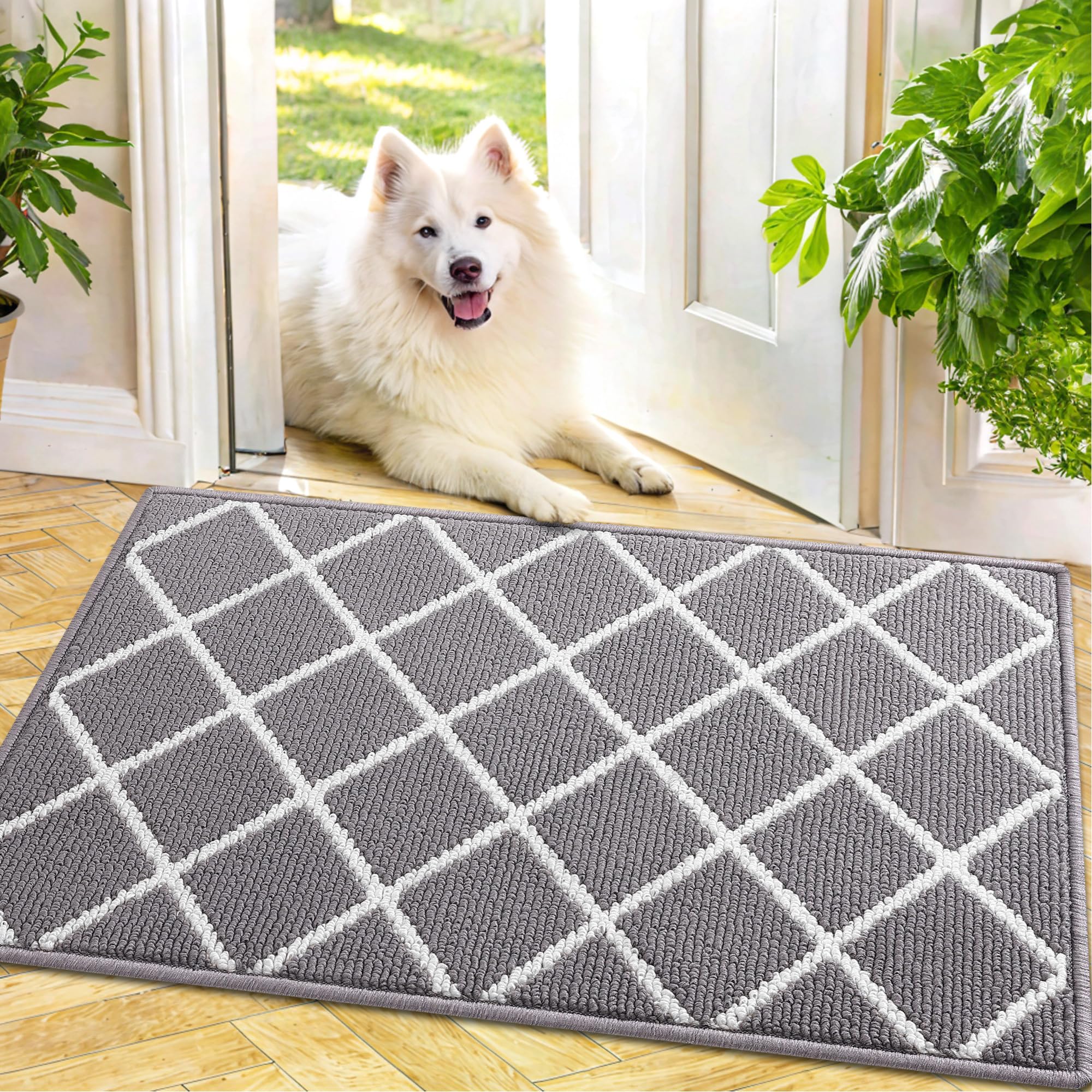 Finchitty Indoor Door Mat, Dirt Resistant and Absorbent, Low-Profile, Non-Slip, Washable Inside Floor Mats for Front Door, Back, and Entrance, 30" x