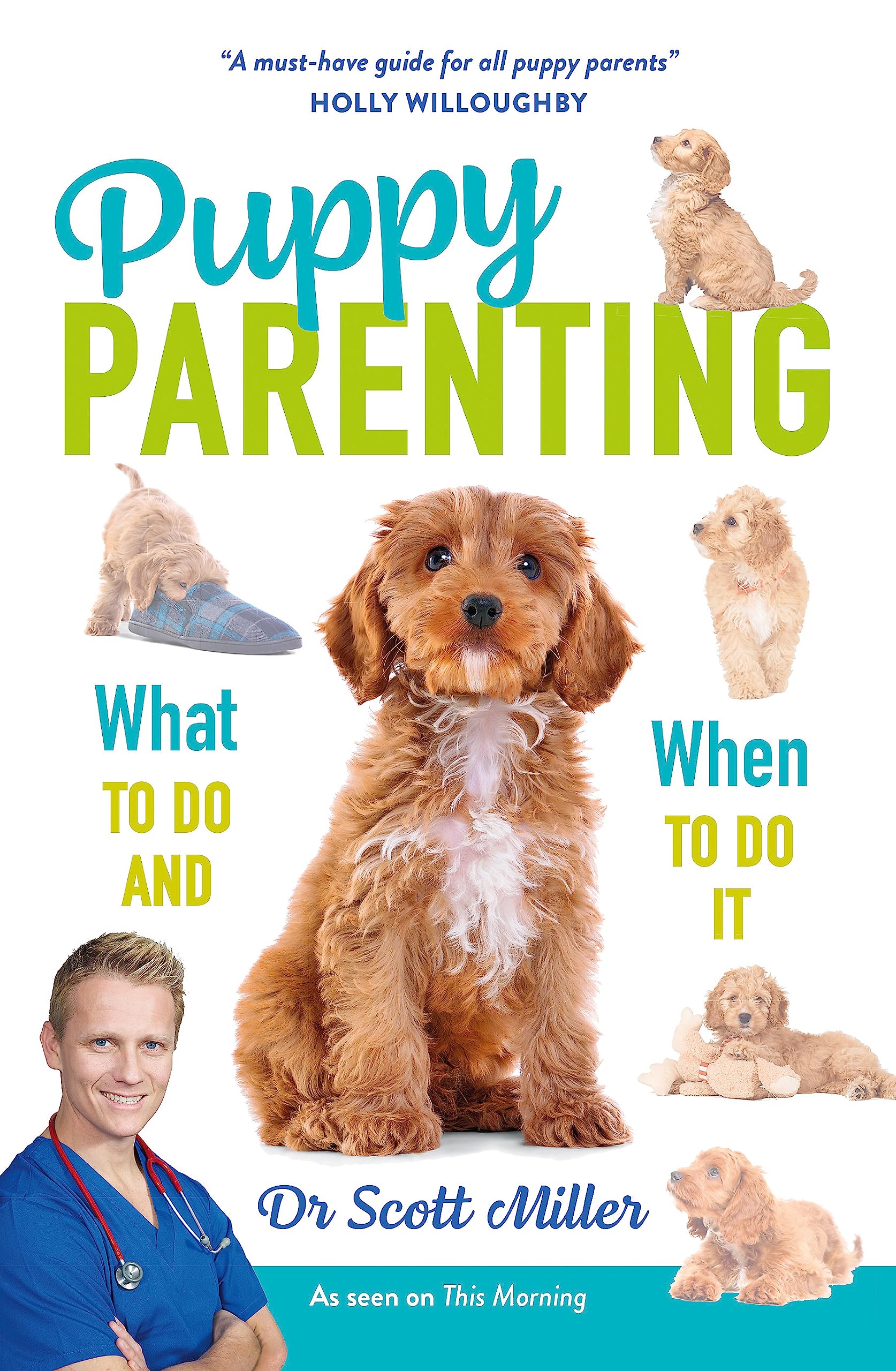 Puppy Parenting: What to Do and When to Do It