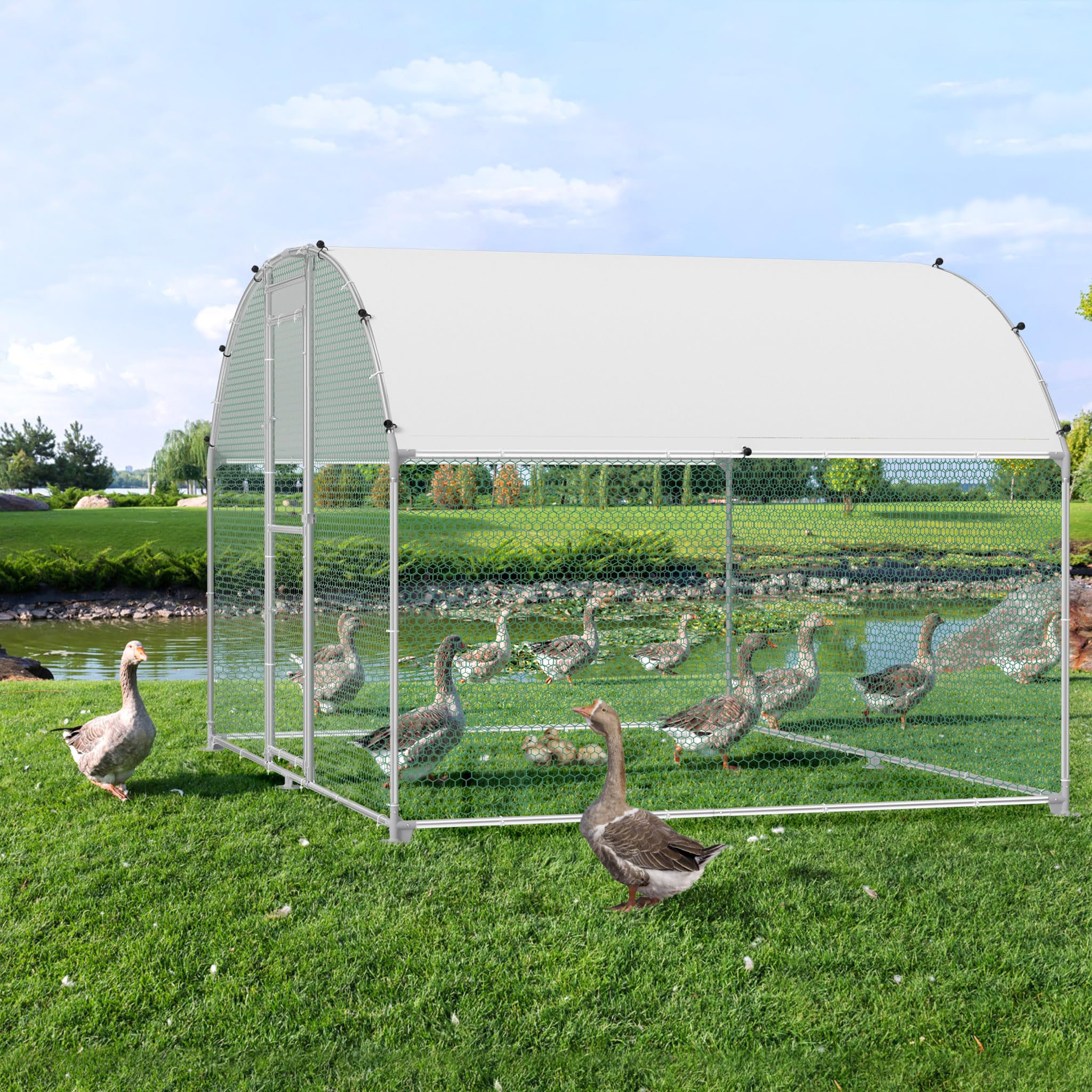 HENGMEI Pollaio, 300 x 200 x 185 cm, gabbia per piccoli animali, in acciaio zincato, con tetto in PE