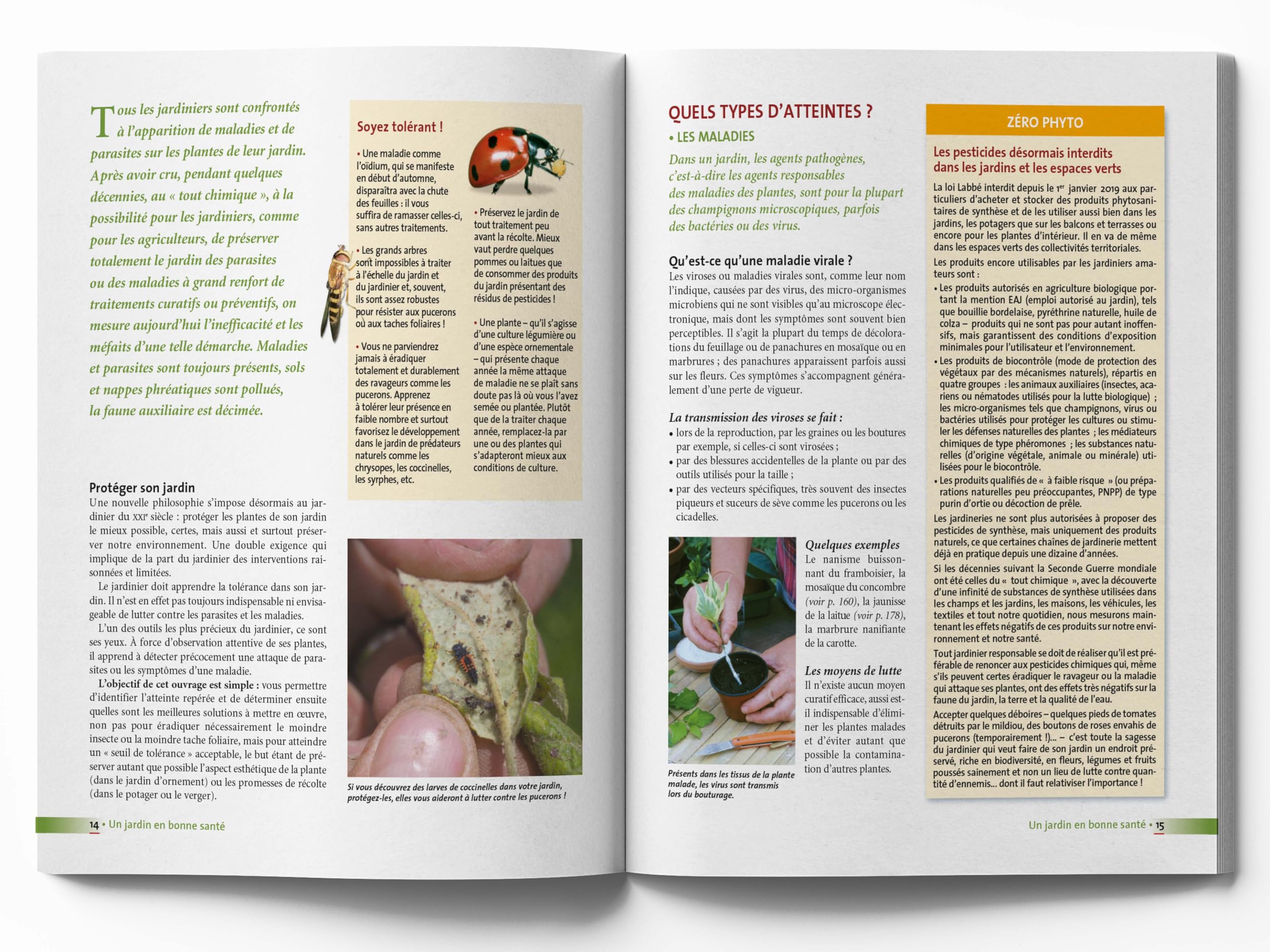 Le traité rustica des maladies et des indésirables au jardin: Plante par plante