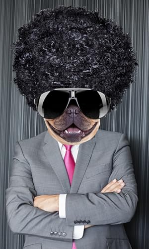 Dog Face Photo Montage