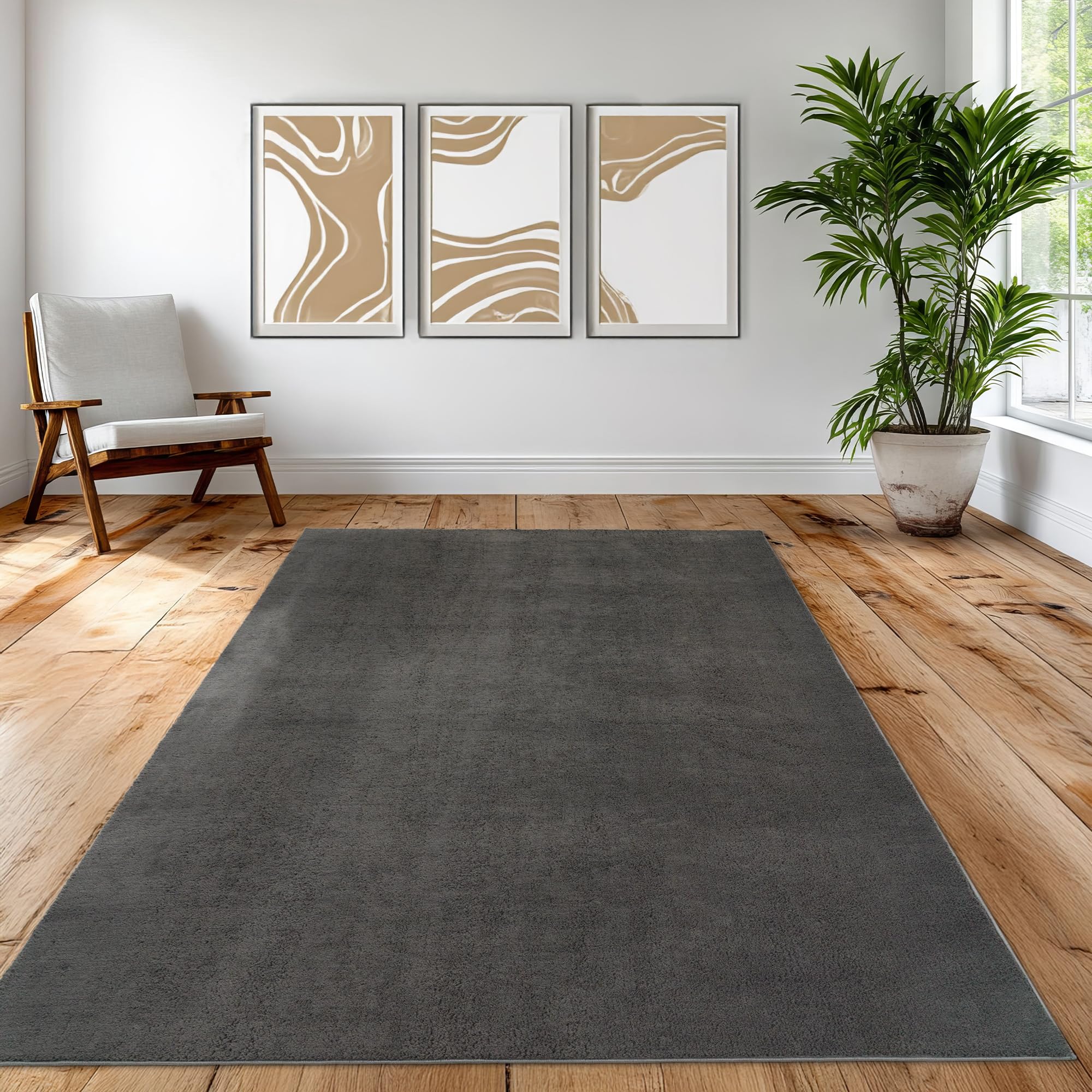 Teppich-Traum Alfombra para salón, dormitorio, oficina, elegante, elegante, suave, fácil de limpiar, accesorio clásico, de alta calidad, atemporal, armoniosa, antracita, 300 x 400 cm