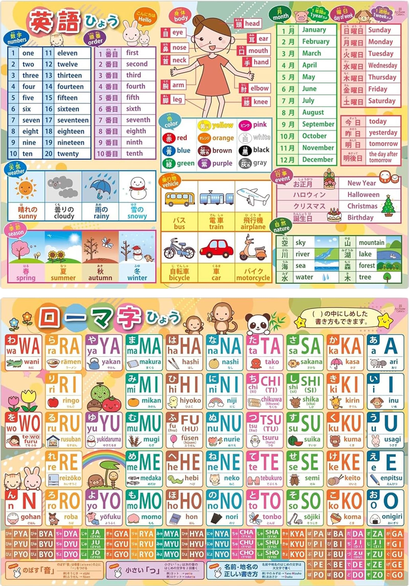 ローマ字 英語 表 下敷き A4サイズ 裏表で1枚 知育 学習用具 記号 小学校…