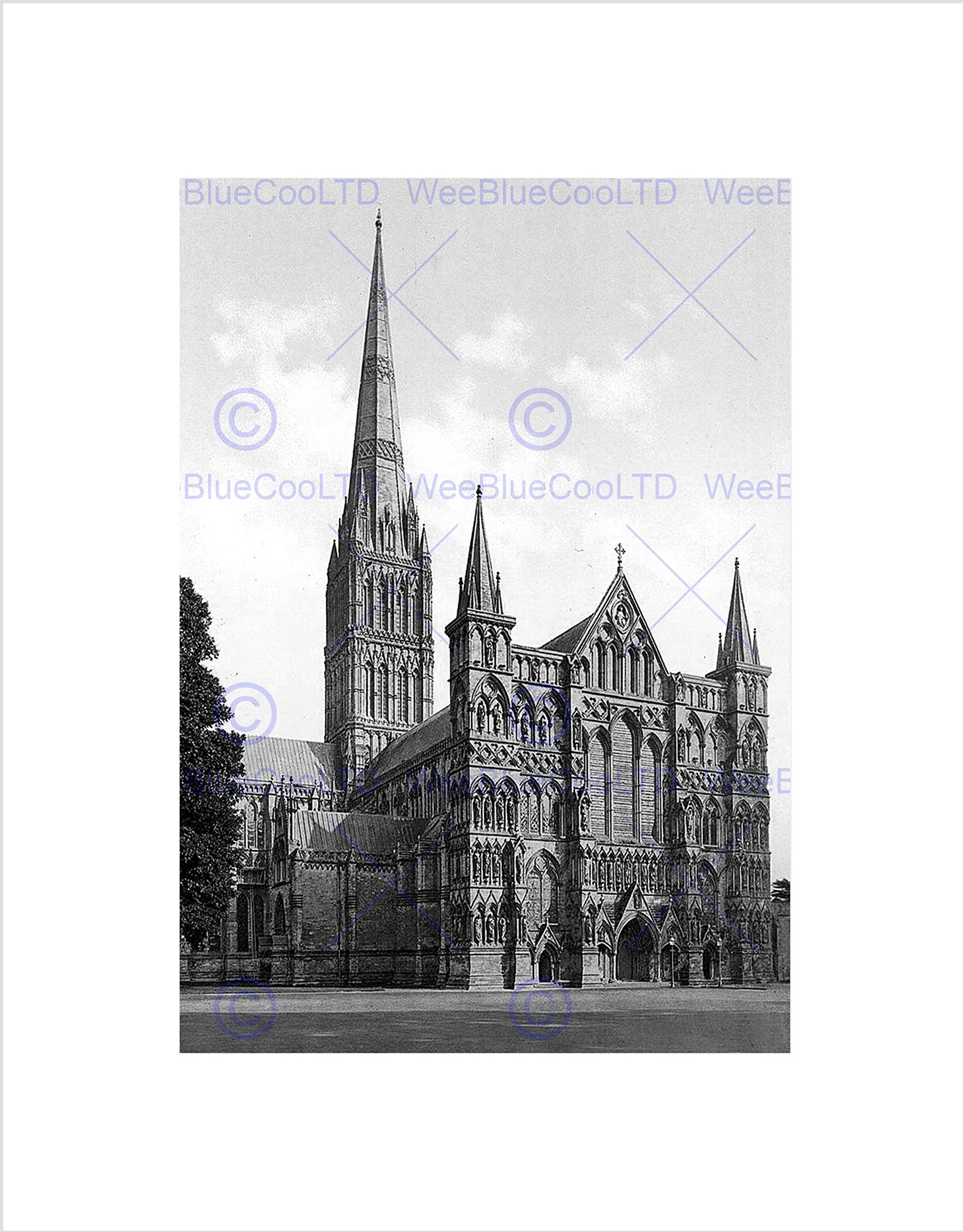 Wee Blue Coo Cathedral Salisbury Vintage History Old BW Wall Art Print