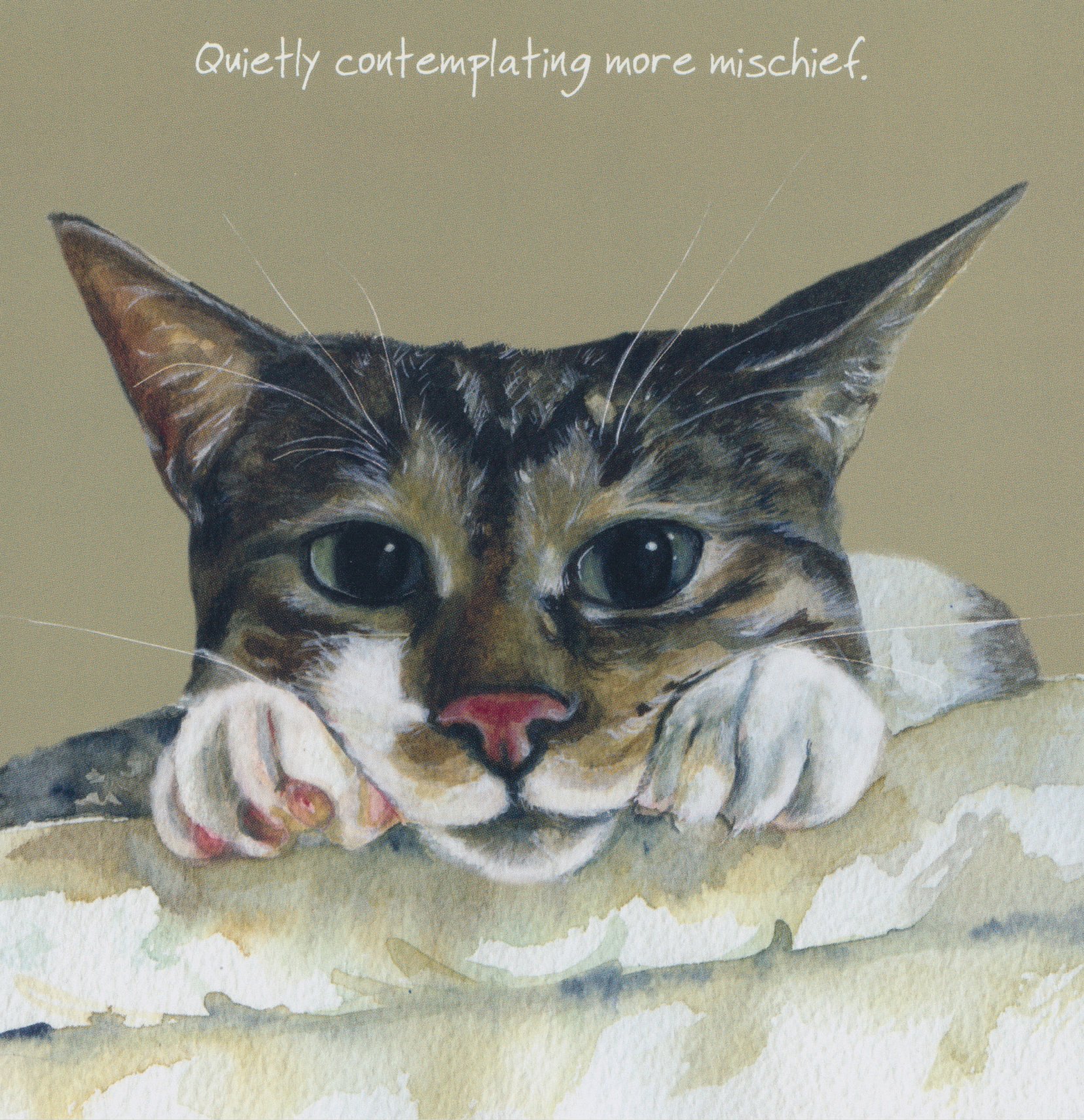 Funny Naughty Tabby Cat BLANK birthday greeting card - Contemplating Mischief