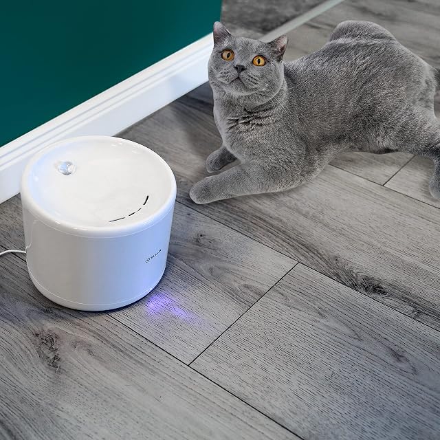 Foto 2 de 8 de TELLUR Bebedero Inteligente WLAN para Gatos y Perros de 2L, Automático con WiFi