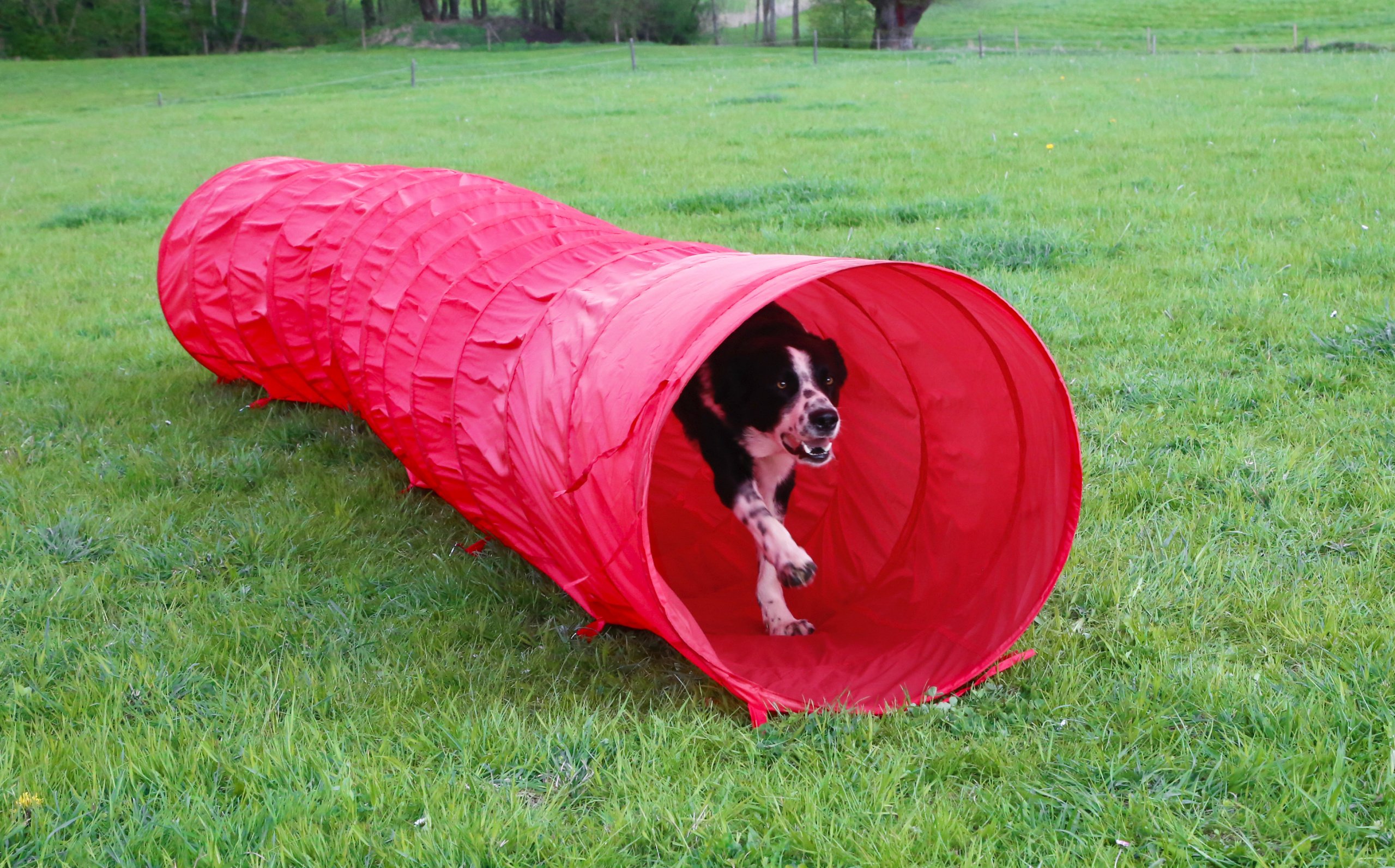 Kerbl Pet Tunnel Agility Rouge, Ø60cm, 5m