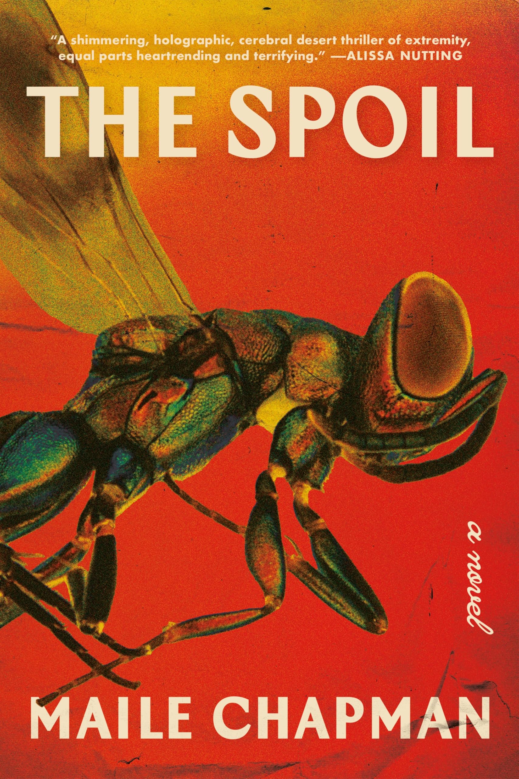 The Spoil by Maile Chapman (Paperback Book)