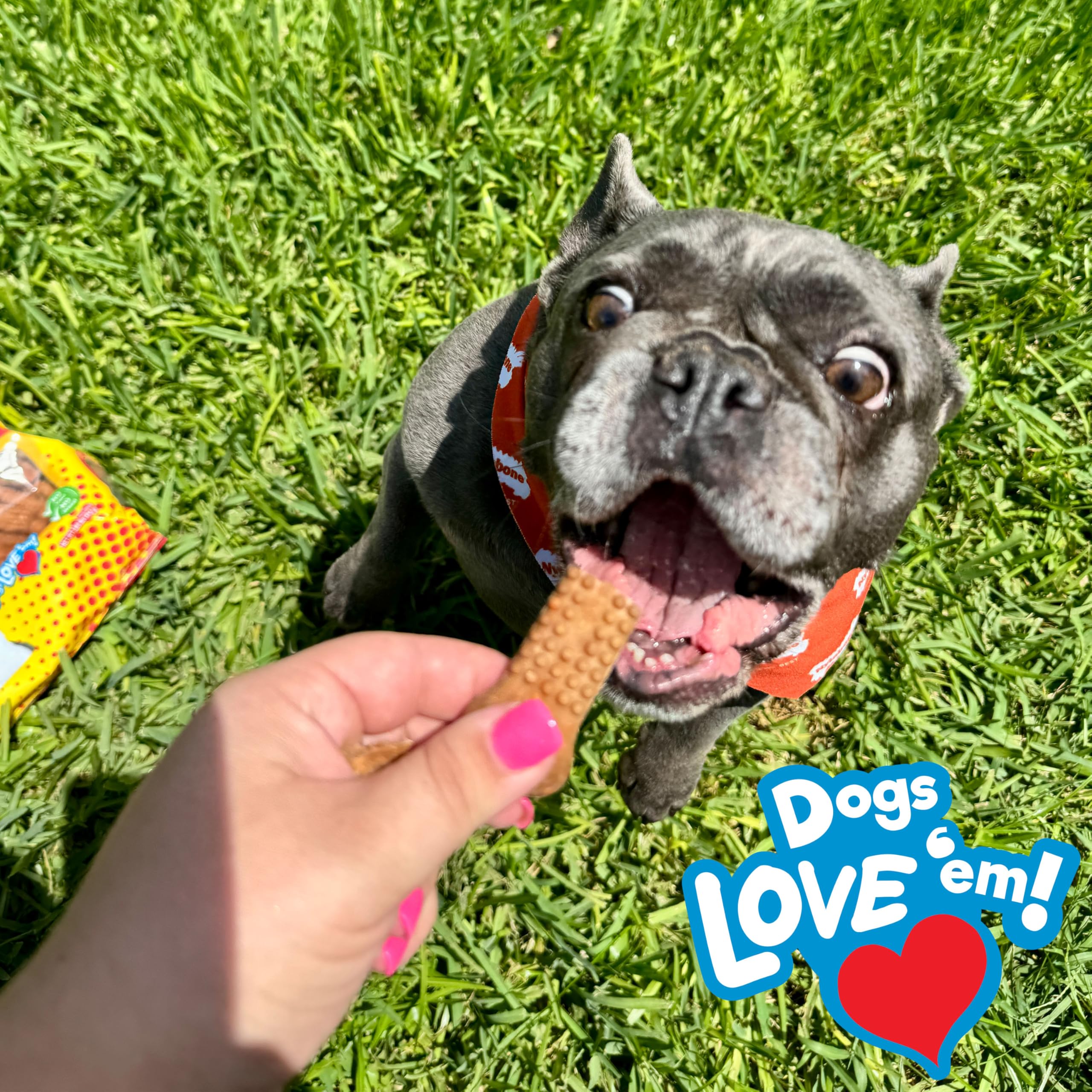 Nylabone Nubz Flavor Bursts Naturalna żucia dla małych psów, długotrwałe kości do żucia, wyprodukowane w USA, smakołyki dla psów bez zbóż, smak bekonu i sera