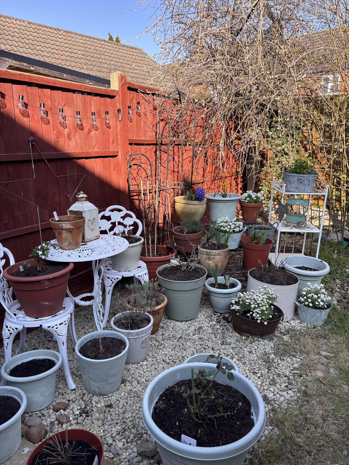 Customer photo
