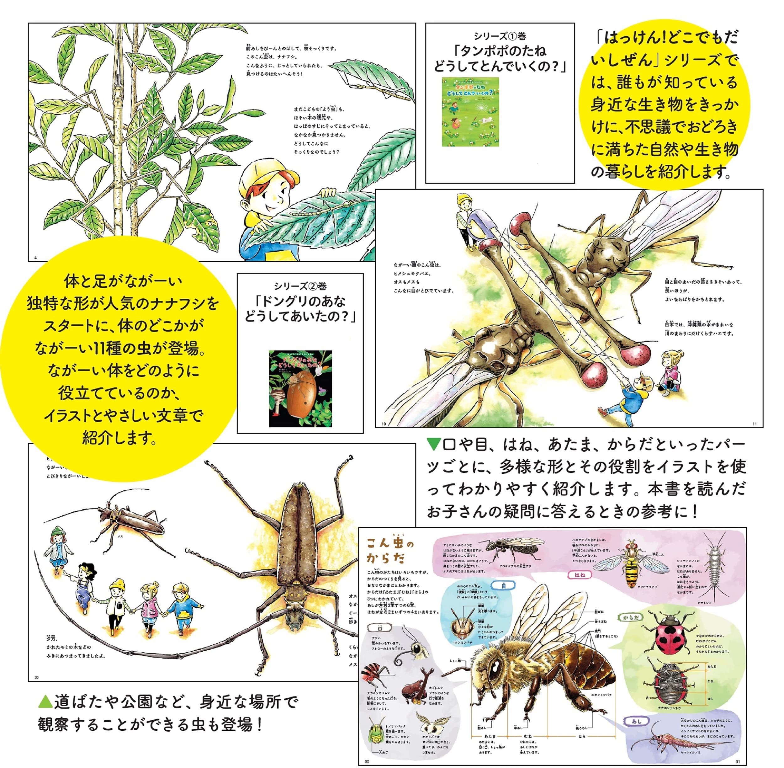 ナナフシのからだ どうしてながいの 11種のながーい虫に会いにいこう はっけん どこでも だいしぜん3 かんちく たかこ 奥山 清市 北窓 優太 本 通販 Amazon