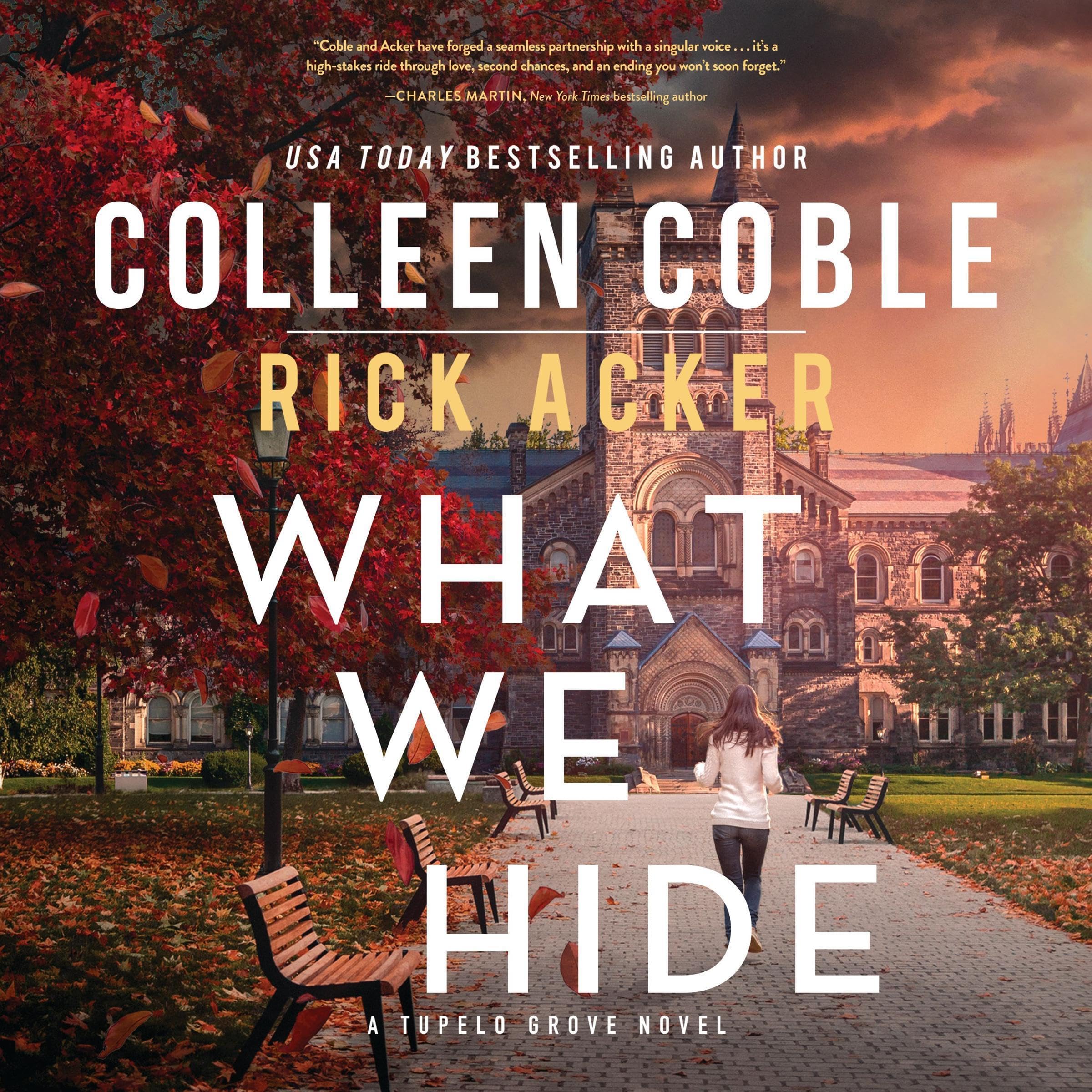 Cover art for What We Hide
