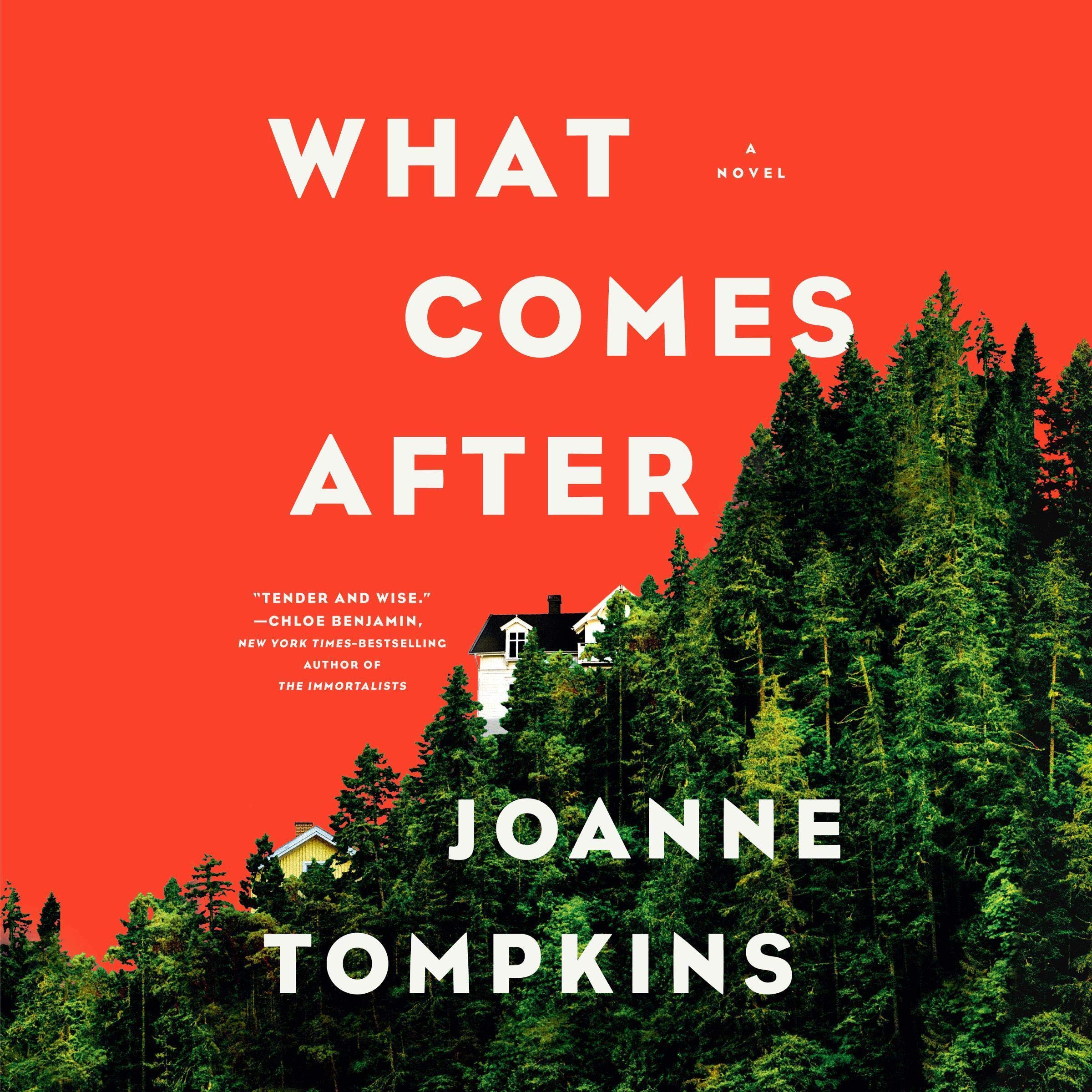 Cover art for What Comes After