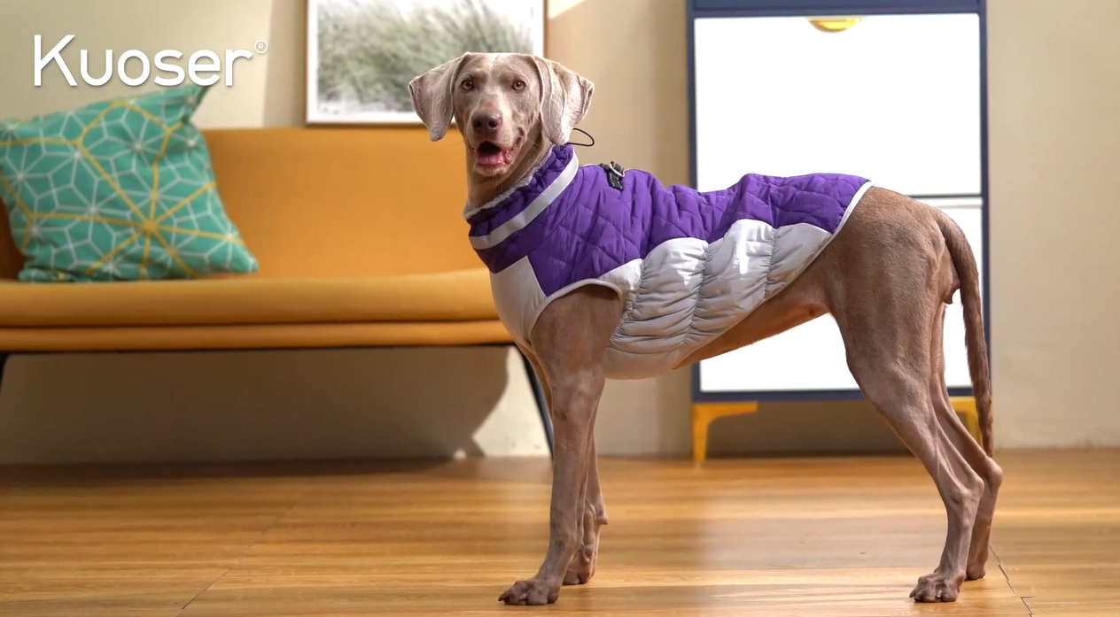 Amazon | Kuoser犬用ジャケット防寒コート 冬服 防水 暖かい 大型犬