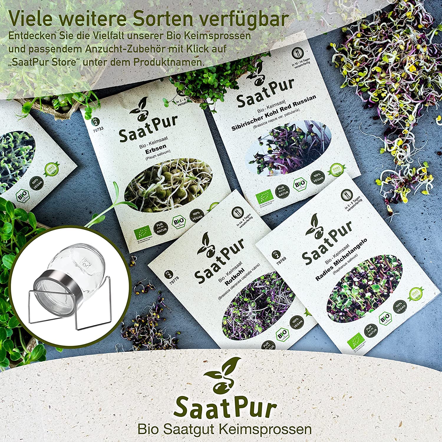 SaatPur BIO Keimsprossen Set Sortiment 5 BIO Sorten Asia Mix - Bockshornklee Alfalfa Mungo Senf chinesischer Porree Schnittknoblauch