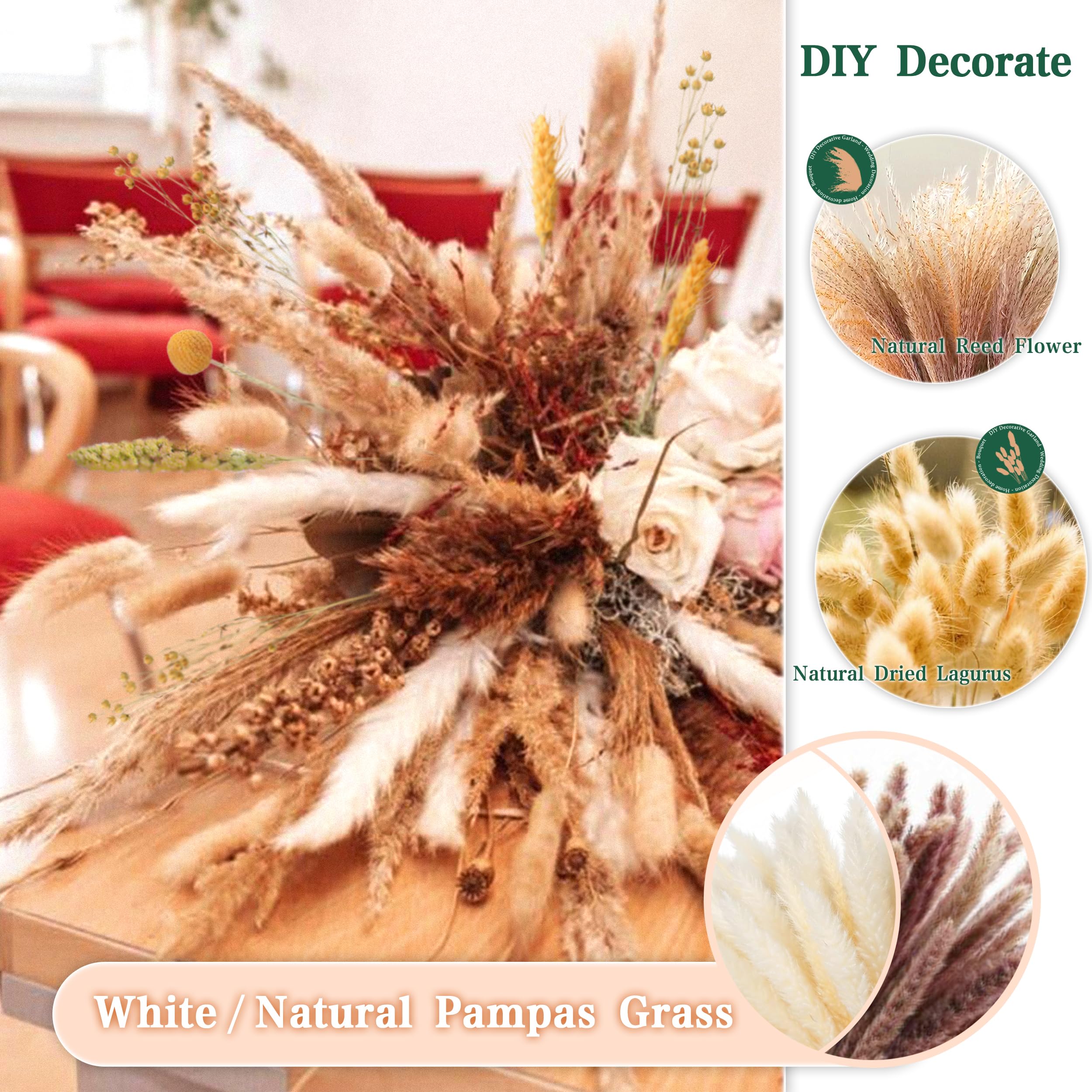 ZJTAPE Pampas Grass Dried, Natural Dried Flowers Decoration, Fluffy Dried Flowers Dried Flowers - Image 4