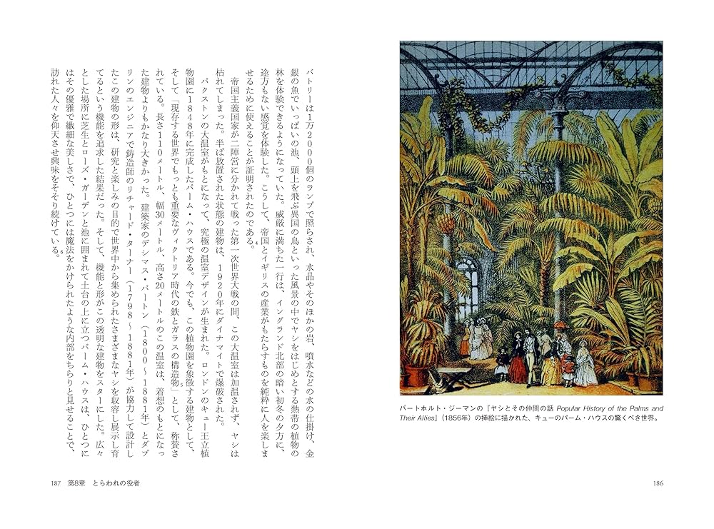 ヤシの木ページ Amazon | RTディオラマ(RT Diorama) 1/35 北アフリカのヤシの木