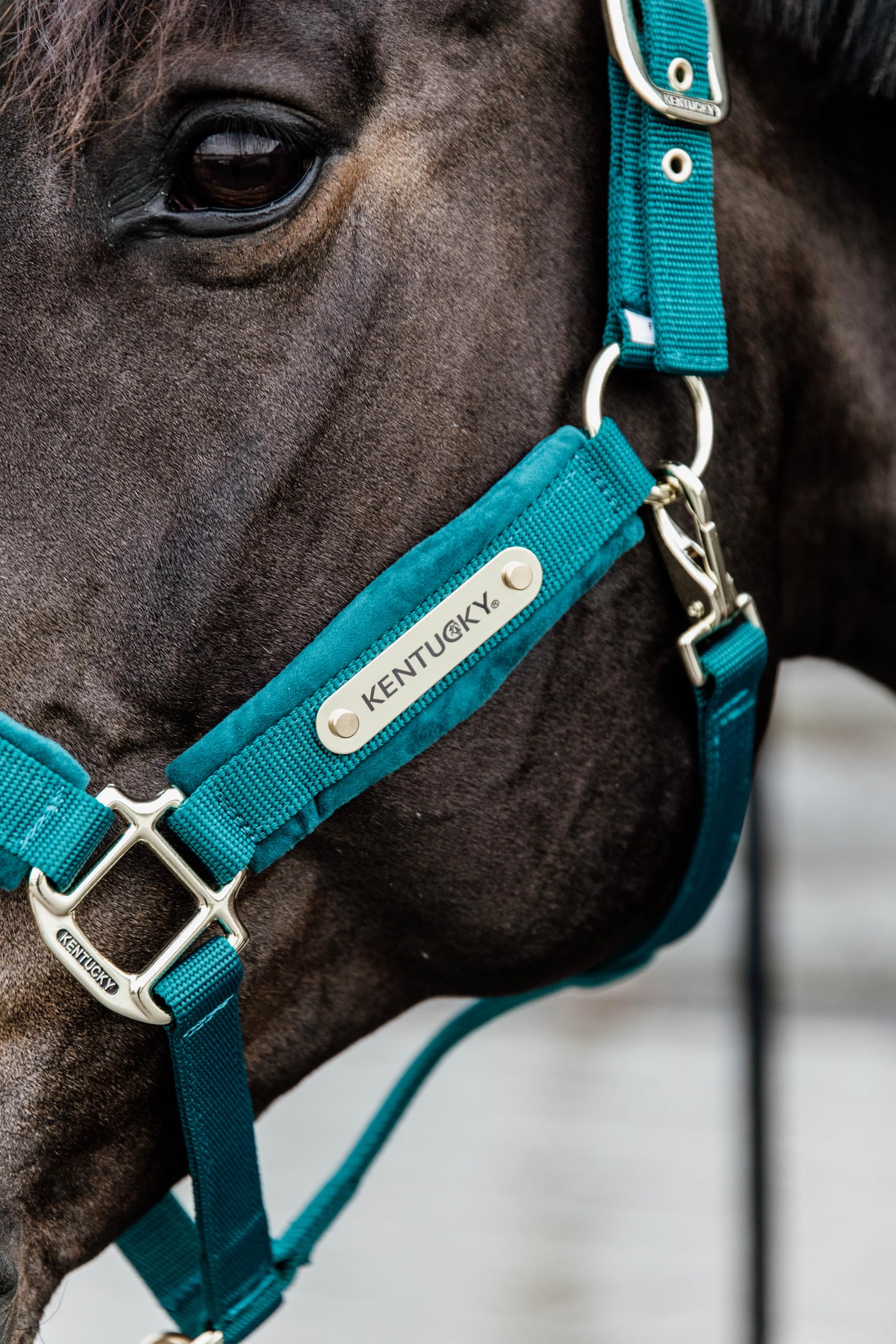 Kentucky Horsewear Cabestro de terciopelo, tamaño: Cob, color Kentucky Horsewear:esmeralda