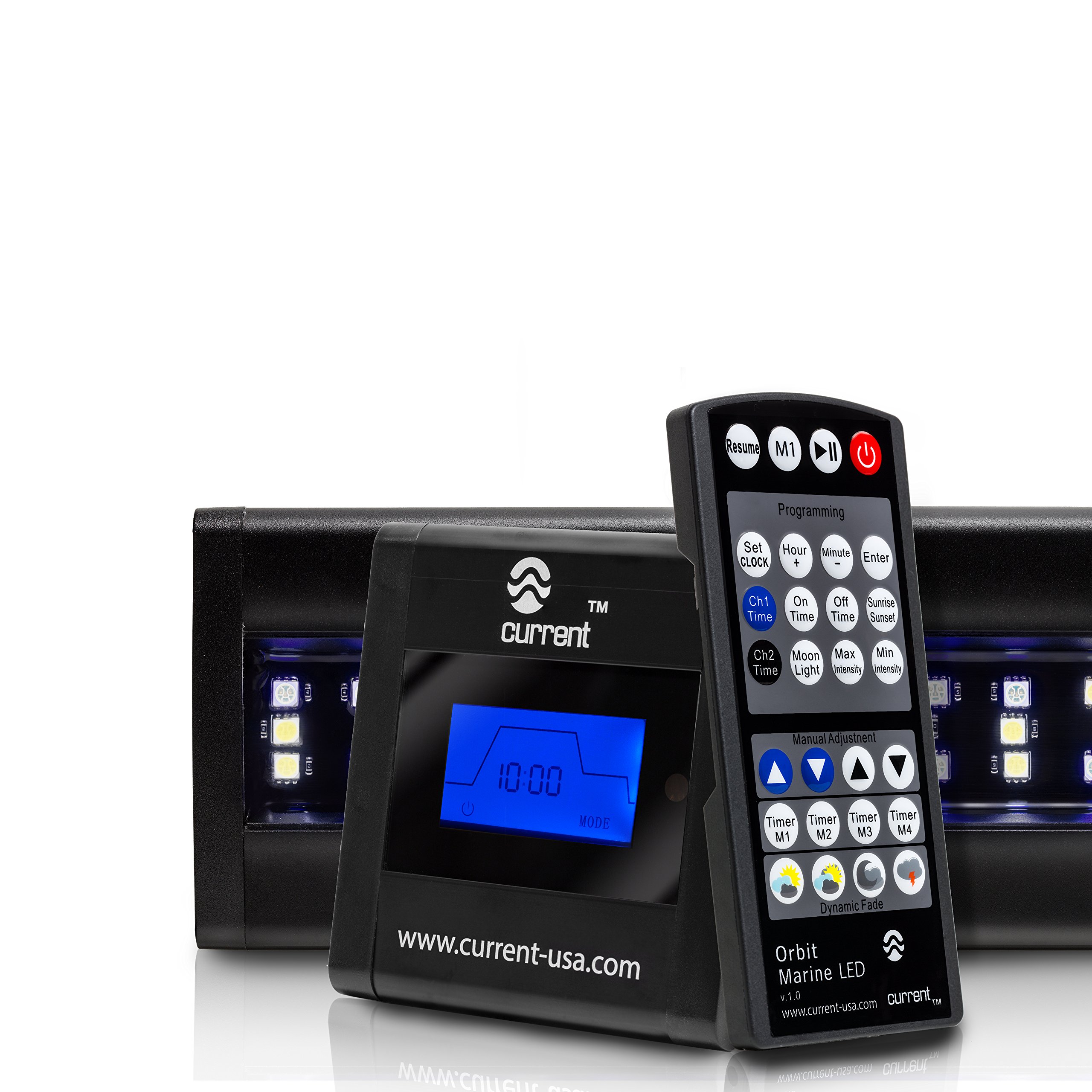 heart shaped pill for dogs