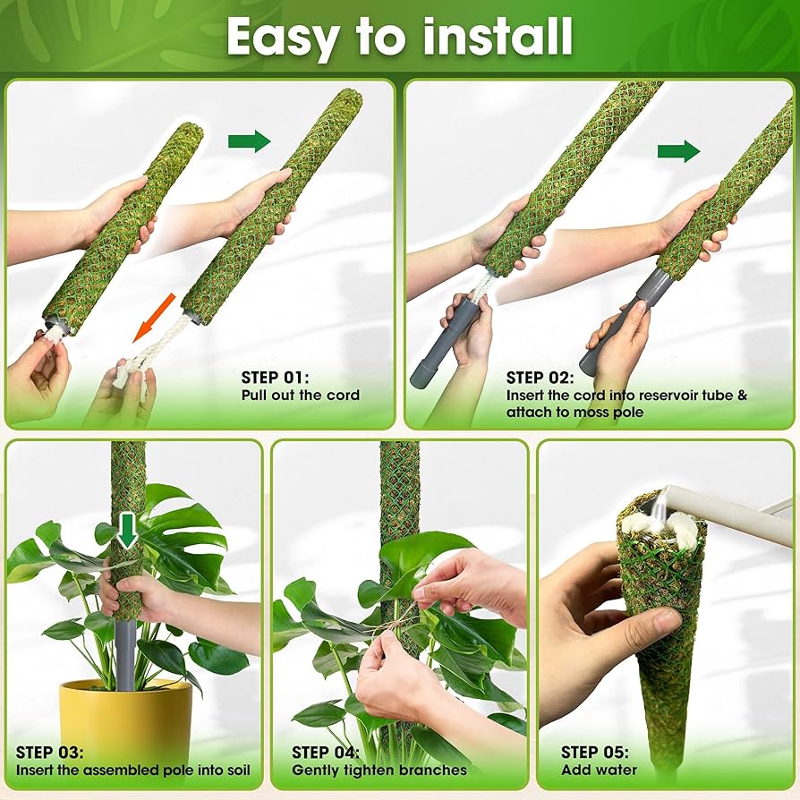 Amazon.com : DUSPRO Self-Watering Natural Green Forest Moss Pole