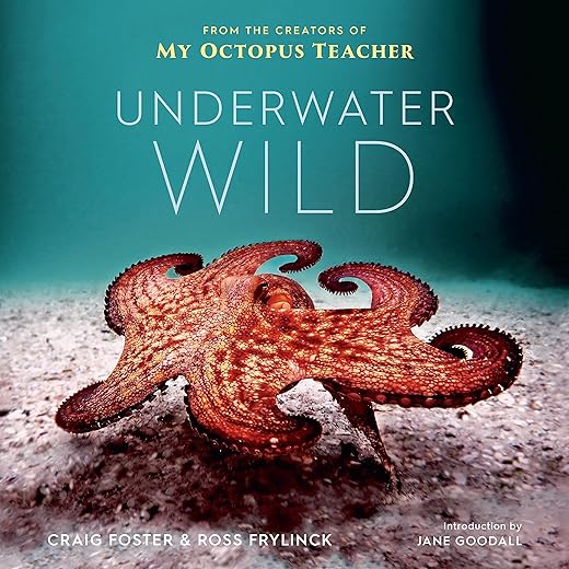 The Underwater Wild: My Octopus Teacher's Extraordinary World