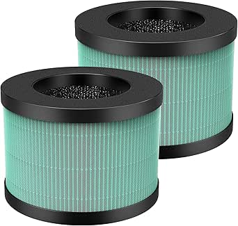 iAmoy MK01 HEPA Filtre de rechange compatible avec AROEVE MK01/MK06